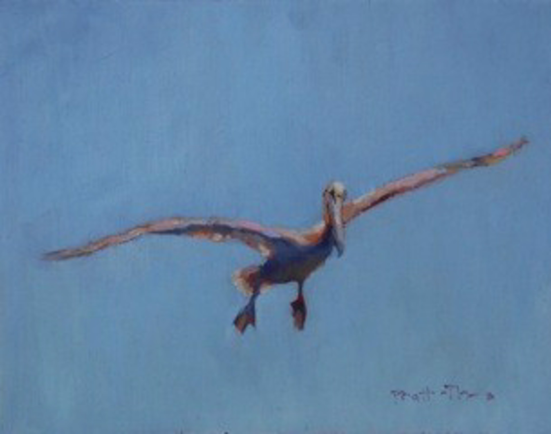 Soaring Overhead by Leslie Pratt-Thomas