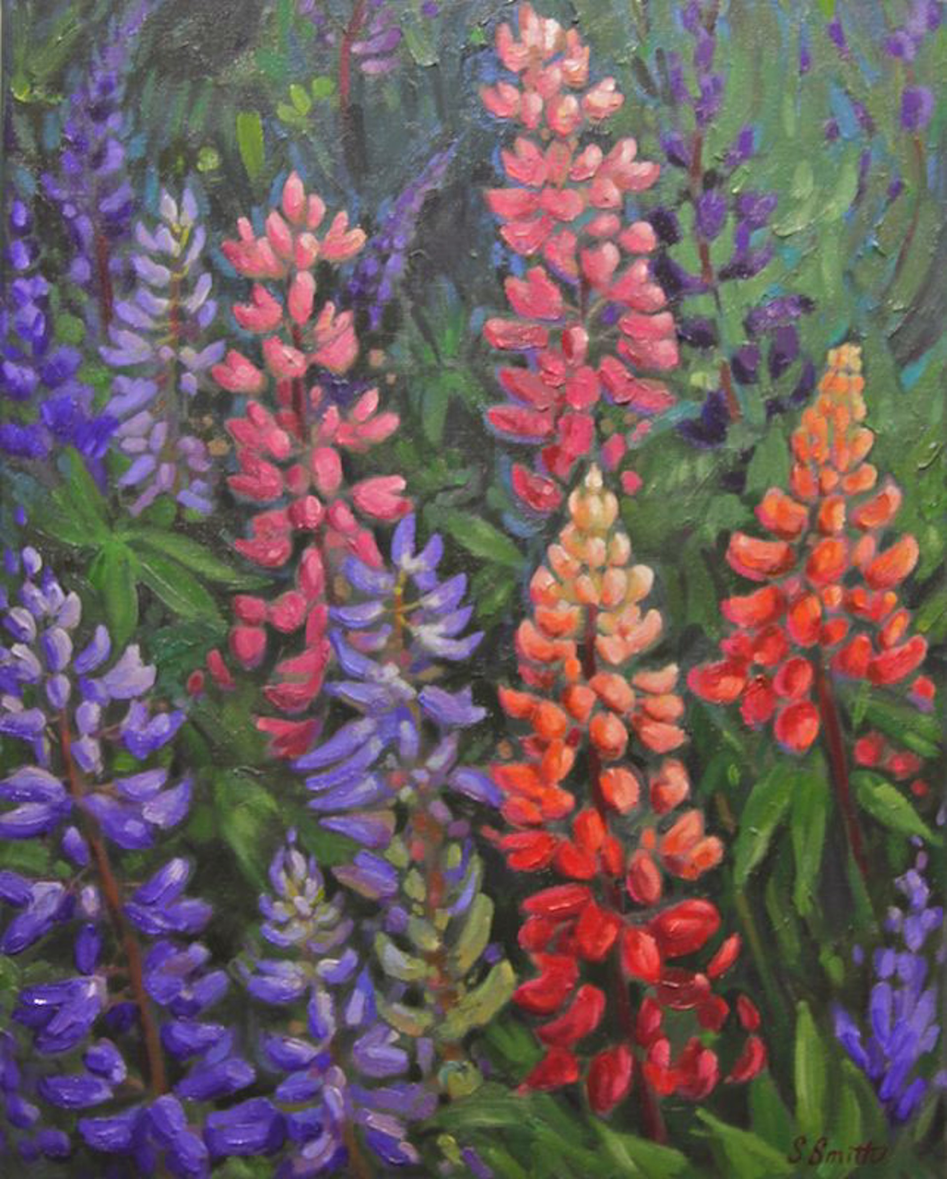 Roadside Lupins 2 by Sharon Smith