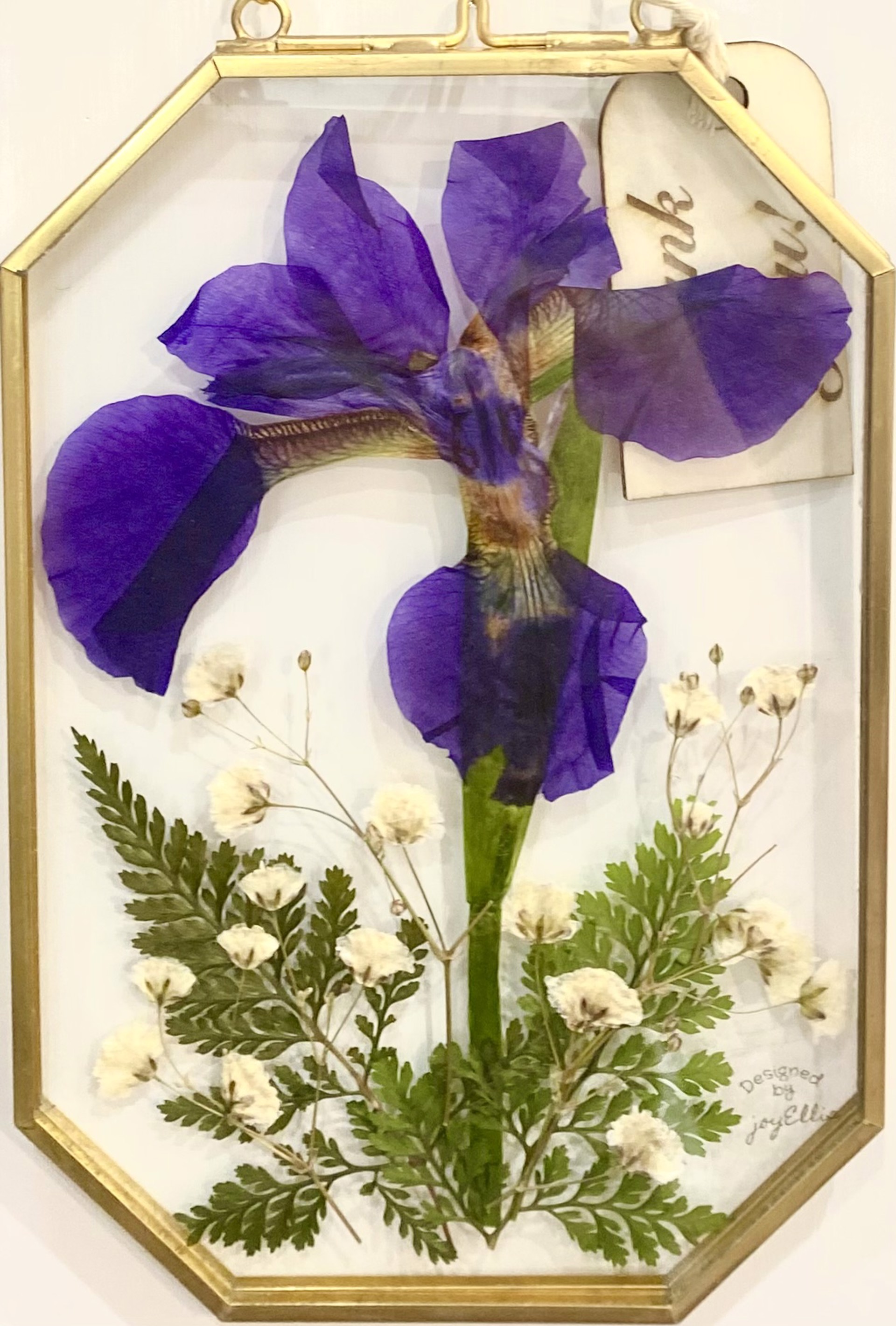 Purple Iris by Joy Ellis