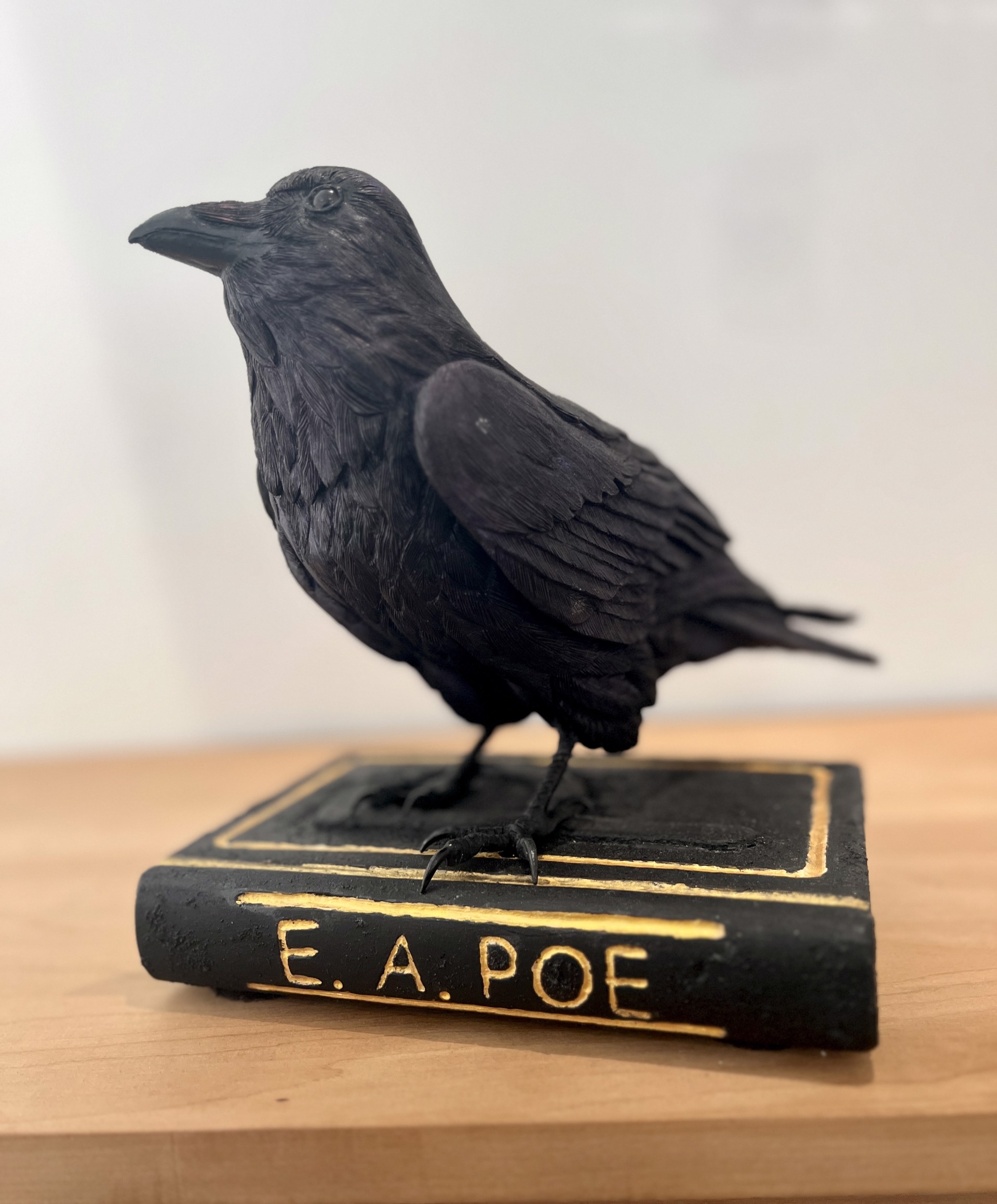 The Raven by Paul Morrisette