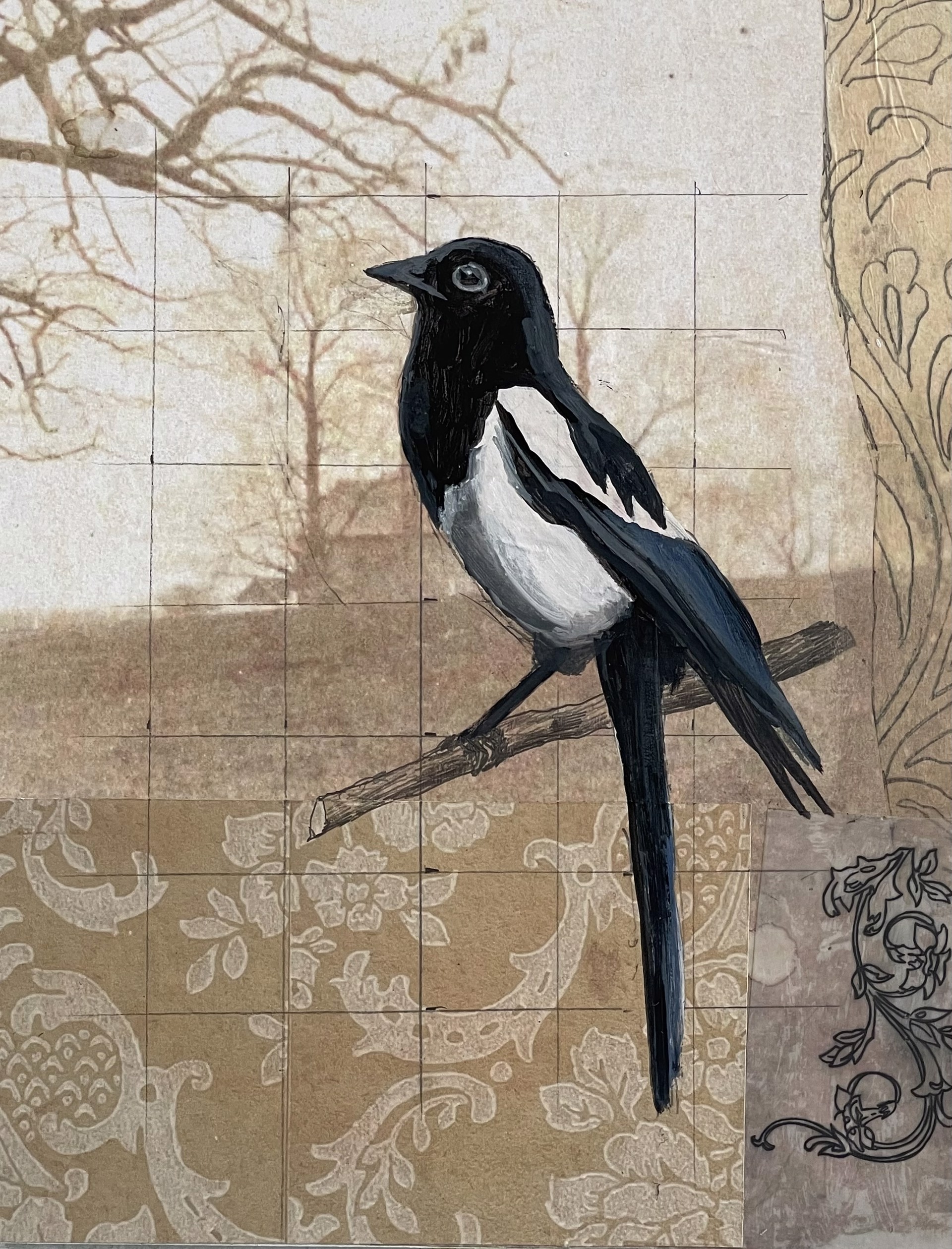 Magpie by Tom Judd