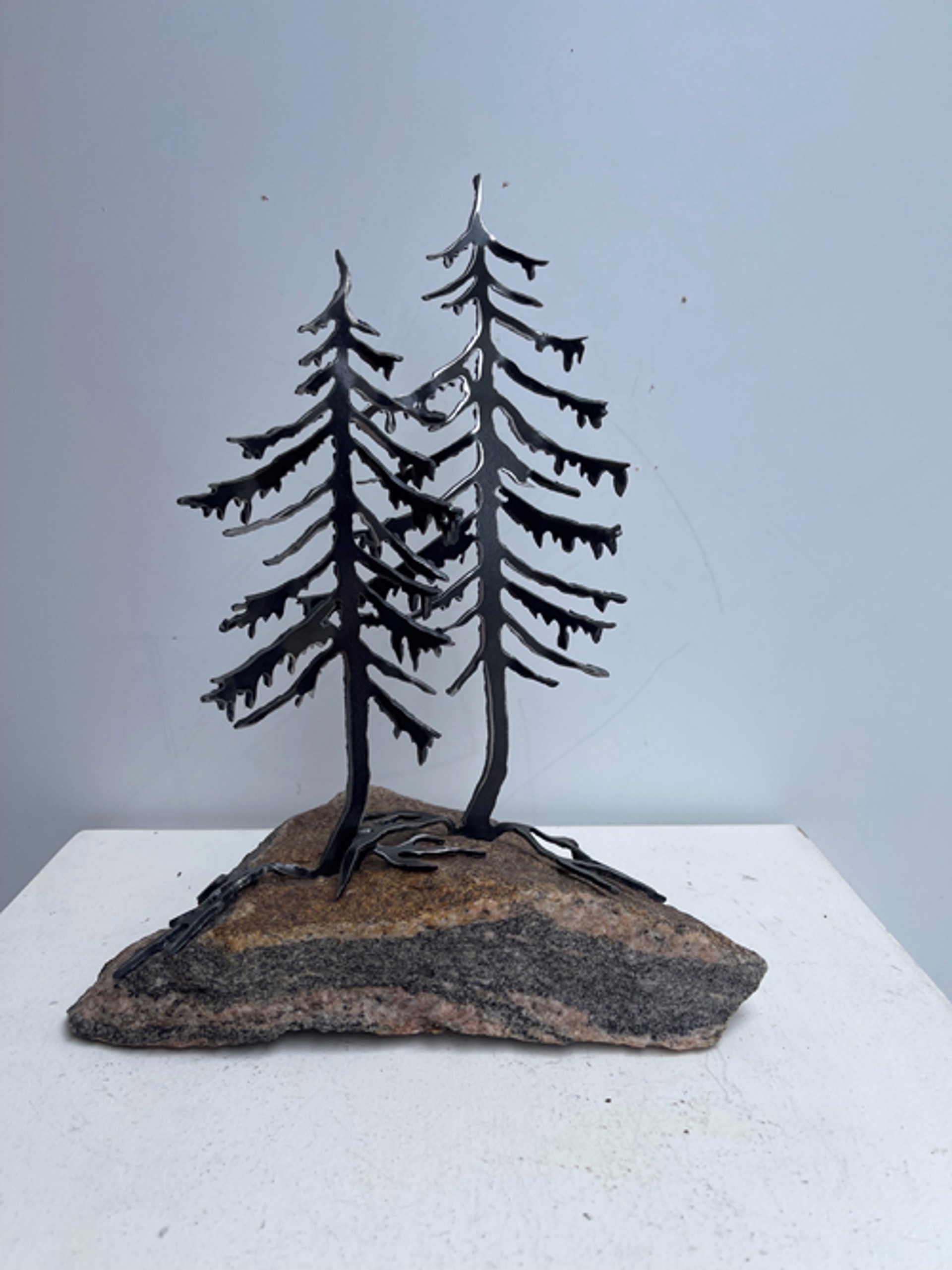 2 Jack Pine on Rock by Cathy Mark