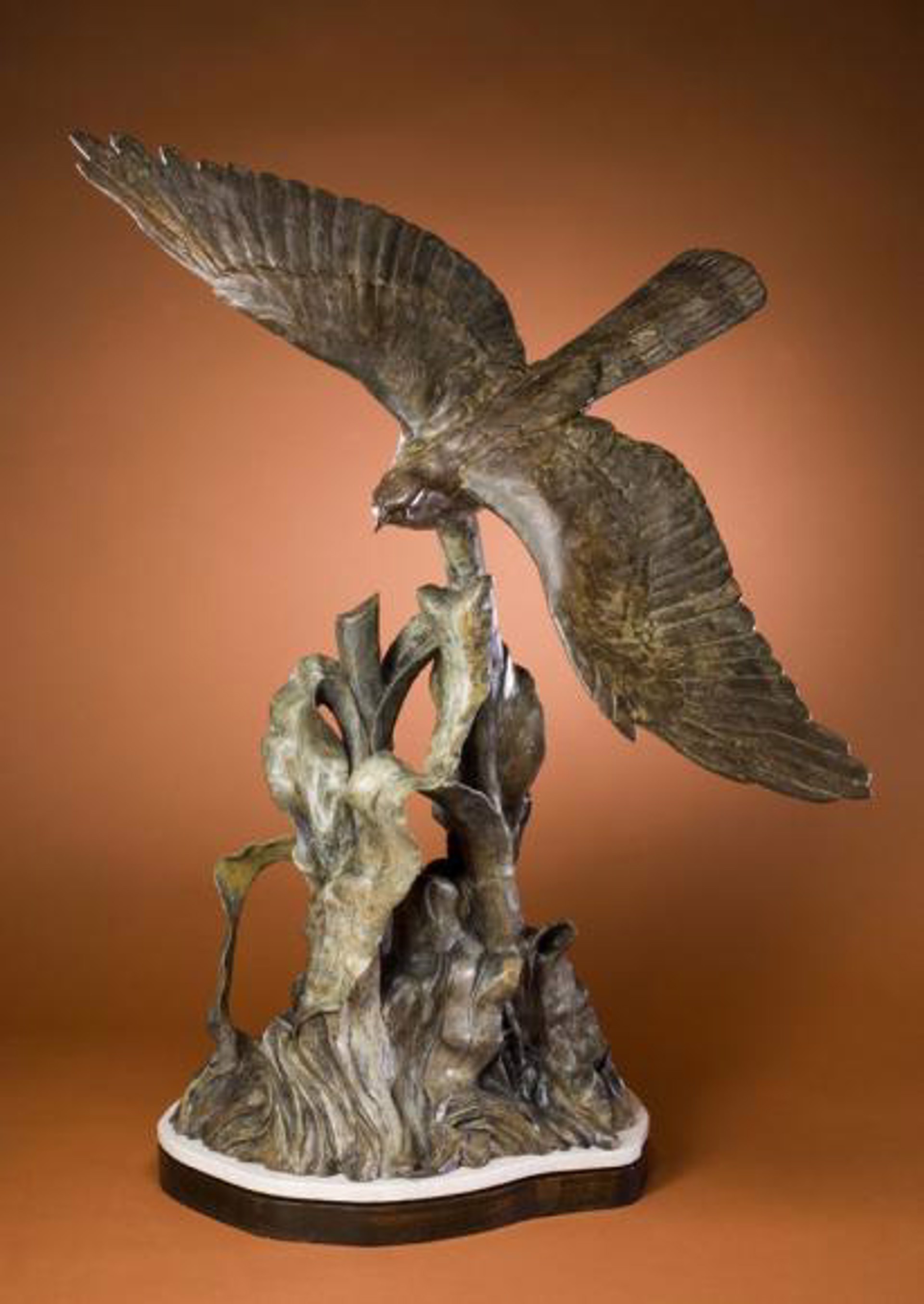 Cooper's Hawk by Sharon Fullingim