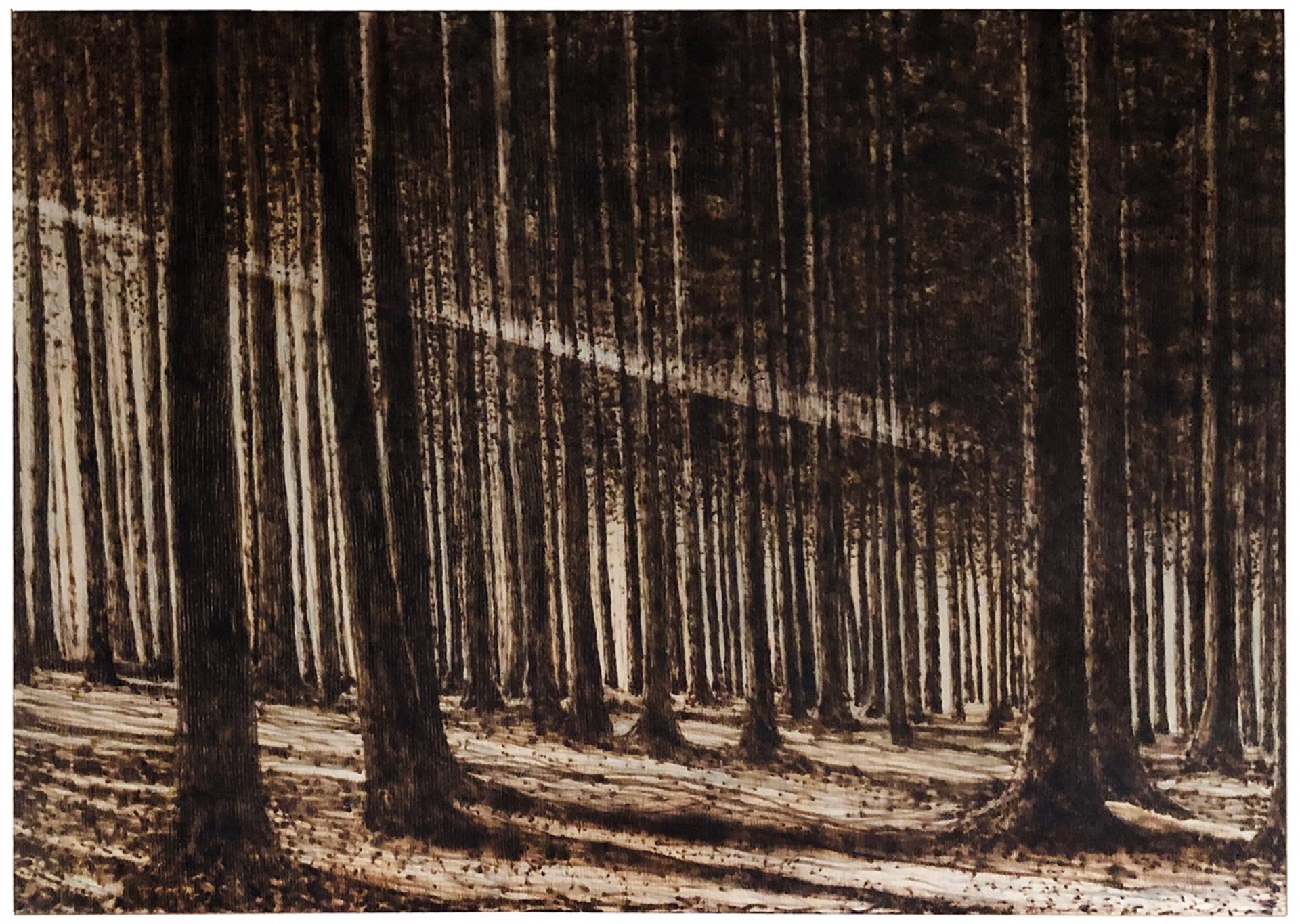 Light Through the Trees by Paul Chojnowski