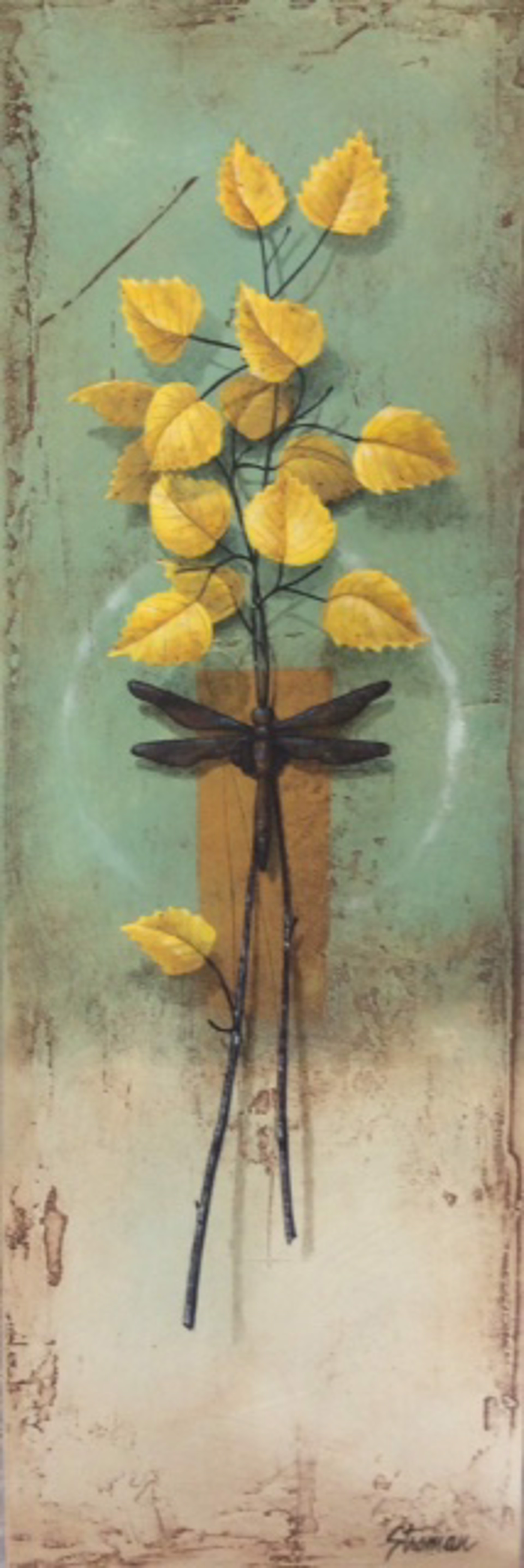Dragonfly by BRAD STROMAN