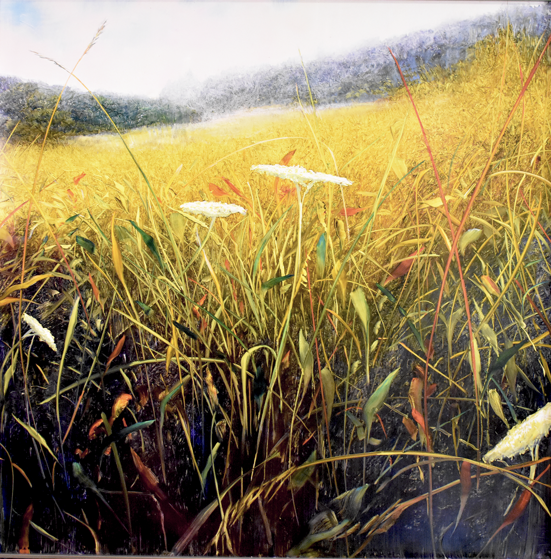 Flightpath of a Meadowlark by David Allen Dunlop