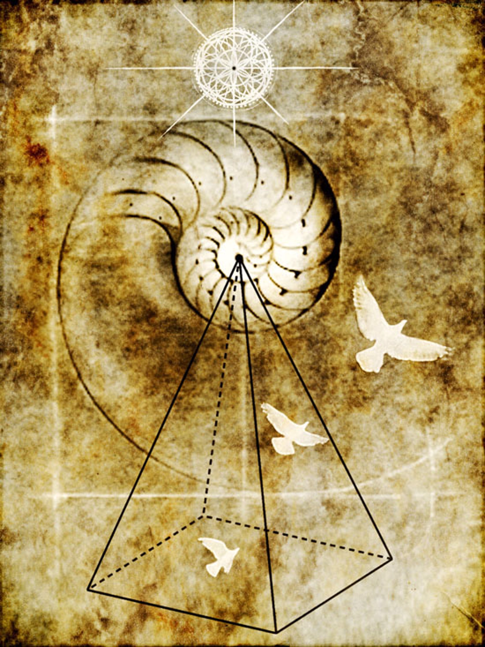 Prophetic Dream by Yuko Ishii