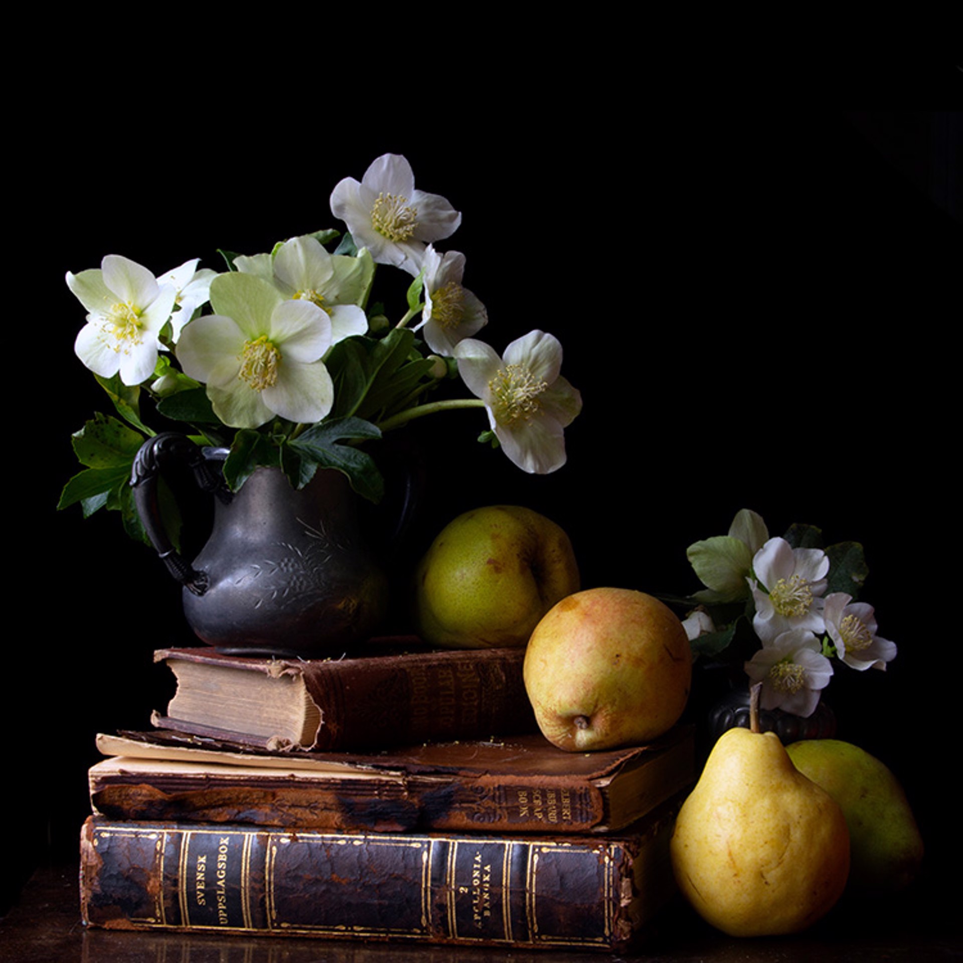 Vanitas with Hellebore and Ripe Pears by Molly Wood