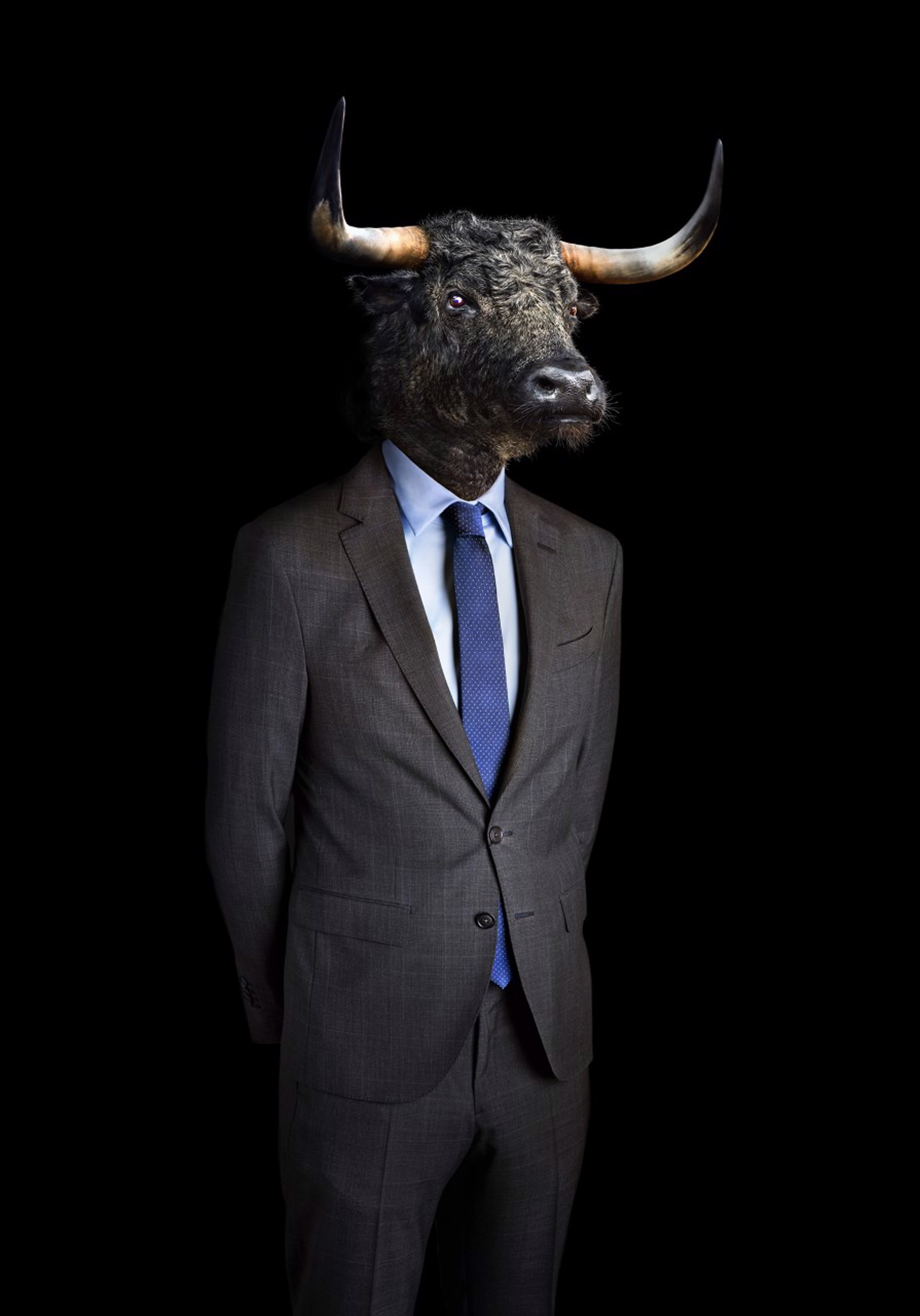Retrato numero 100_bull by Miguel Vallinas