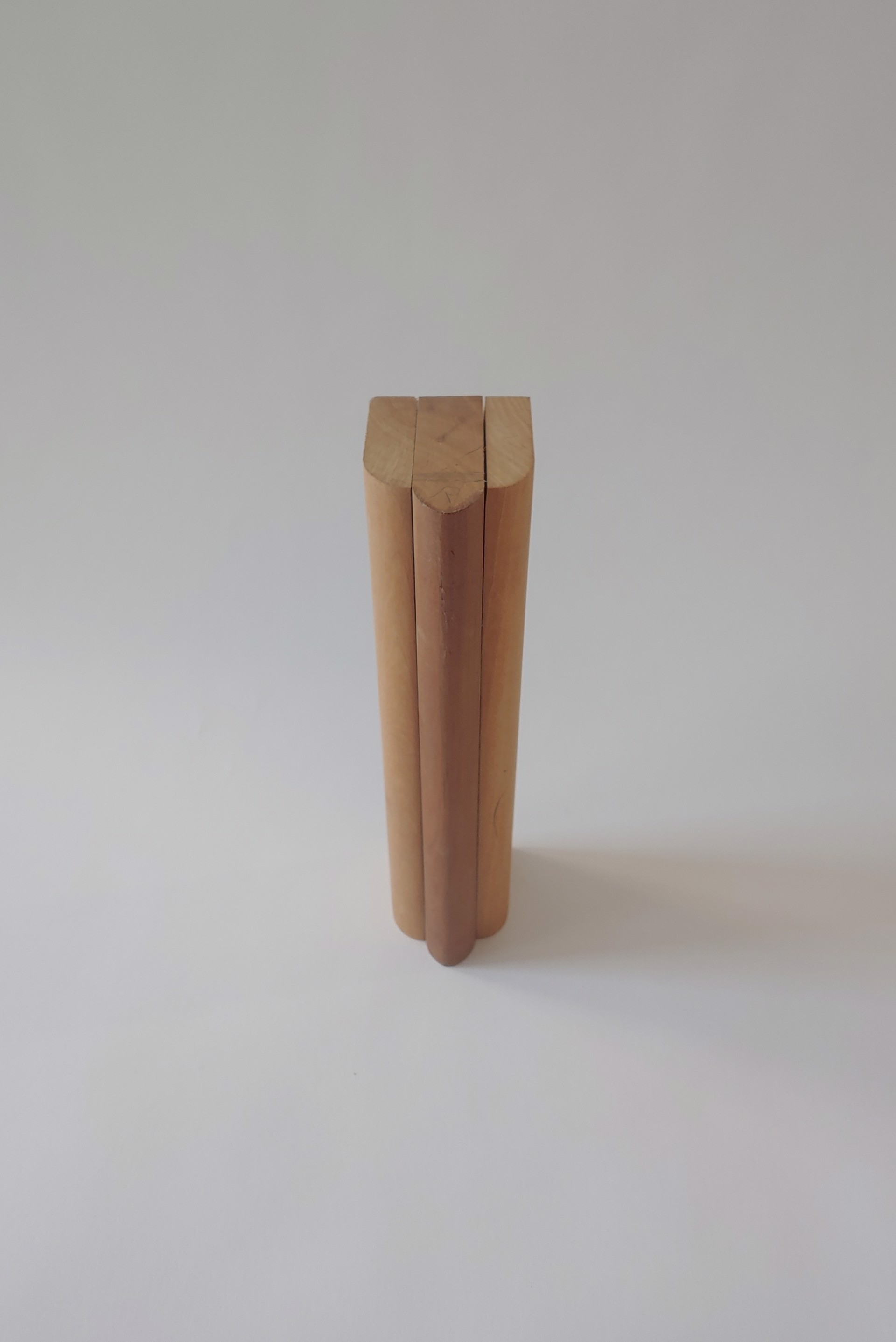 Model #4- Wood Sculpture by David Amdur