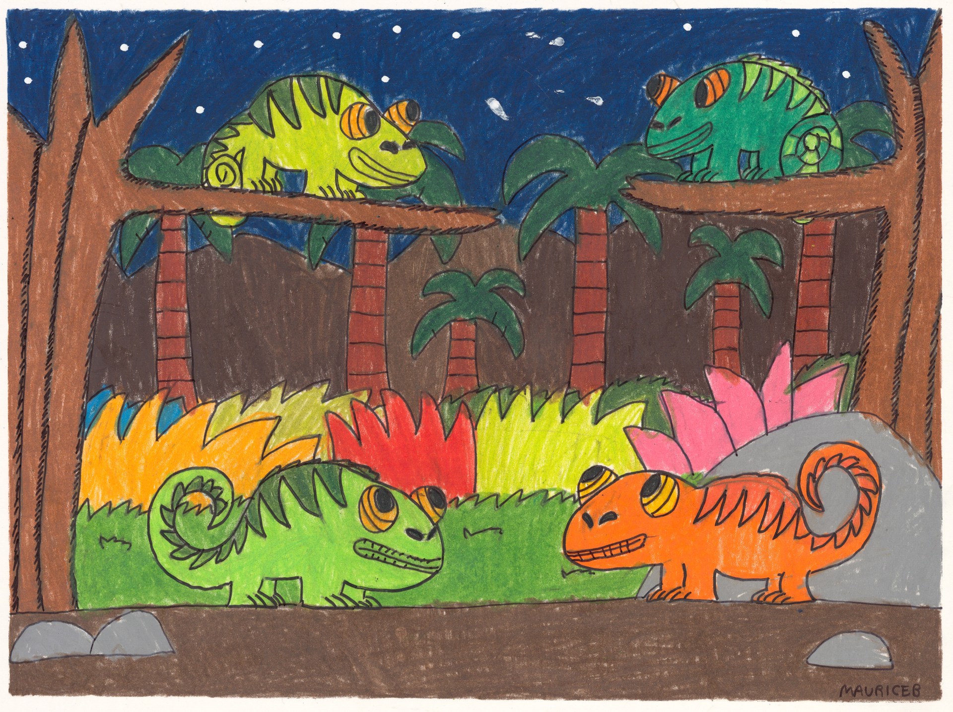 Chameleons at Night by Maurice Barnes