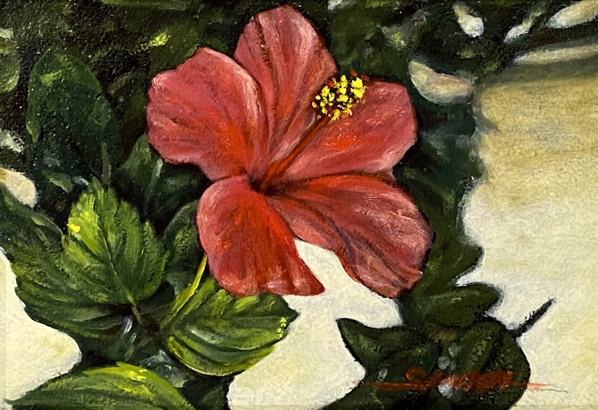 Red Hibiscus by Lee Samson