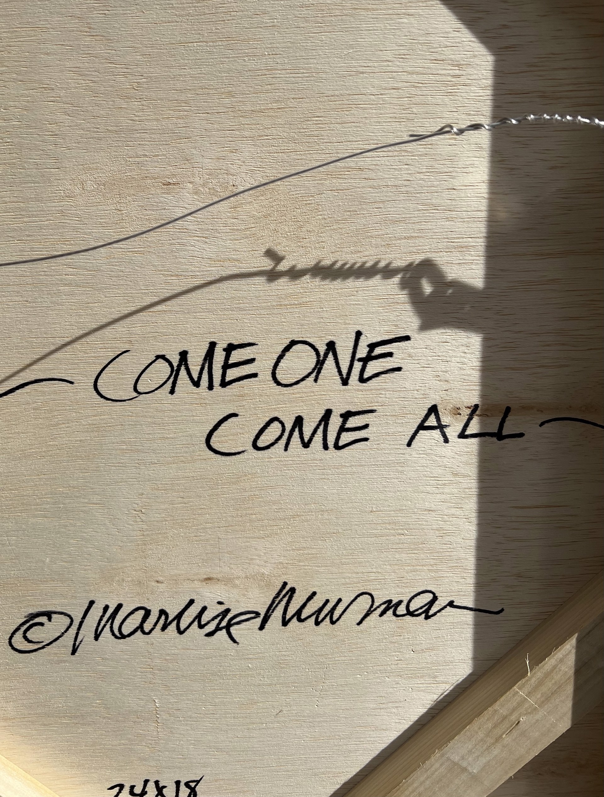 Come One Come All by Marlise Newman