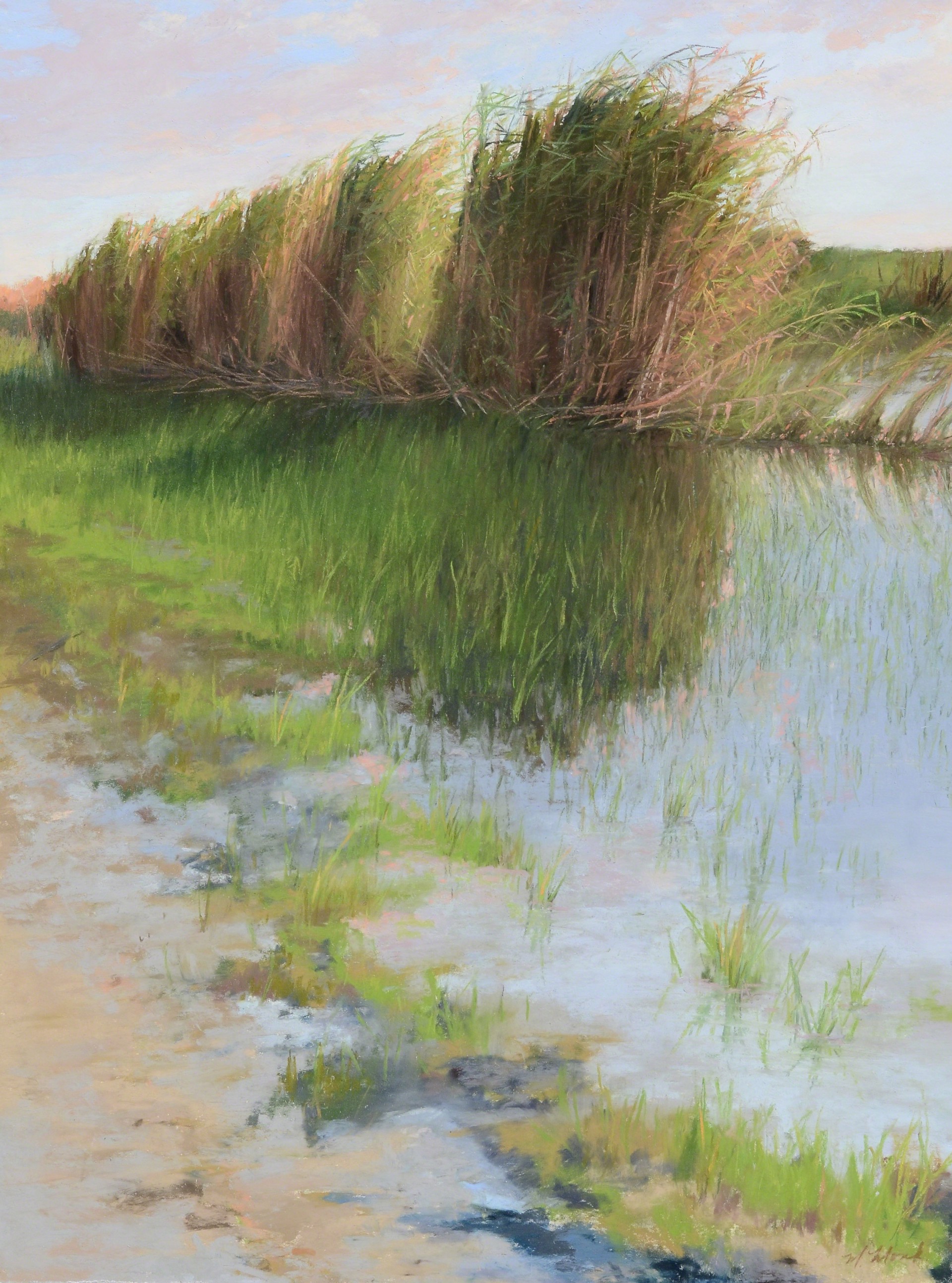 Flooded Wetlands by Mary Monk