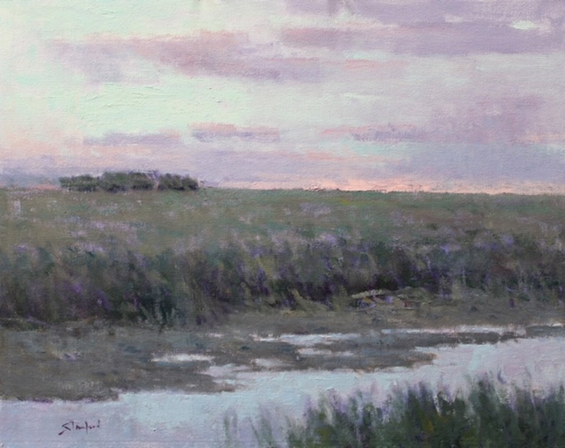 Gray Marsh by John Stanford