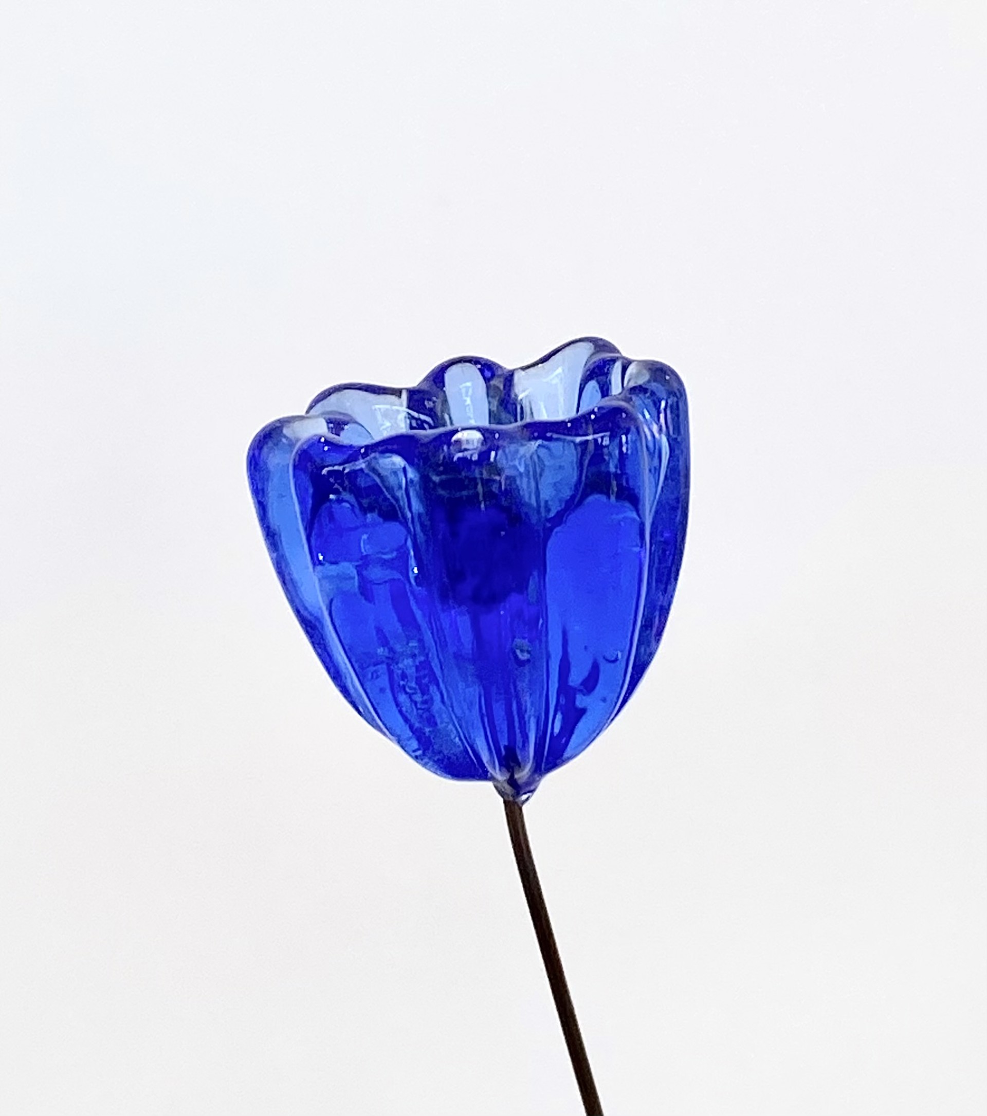 Glass Deep Blue Bud Flower by Emelie Hebert