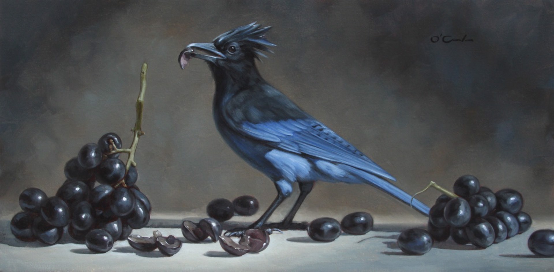 Black And Blue by Jennifer O'Cualain
