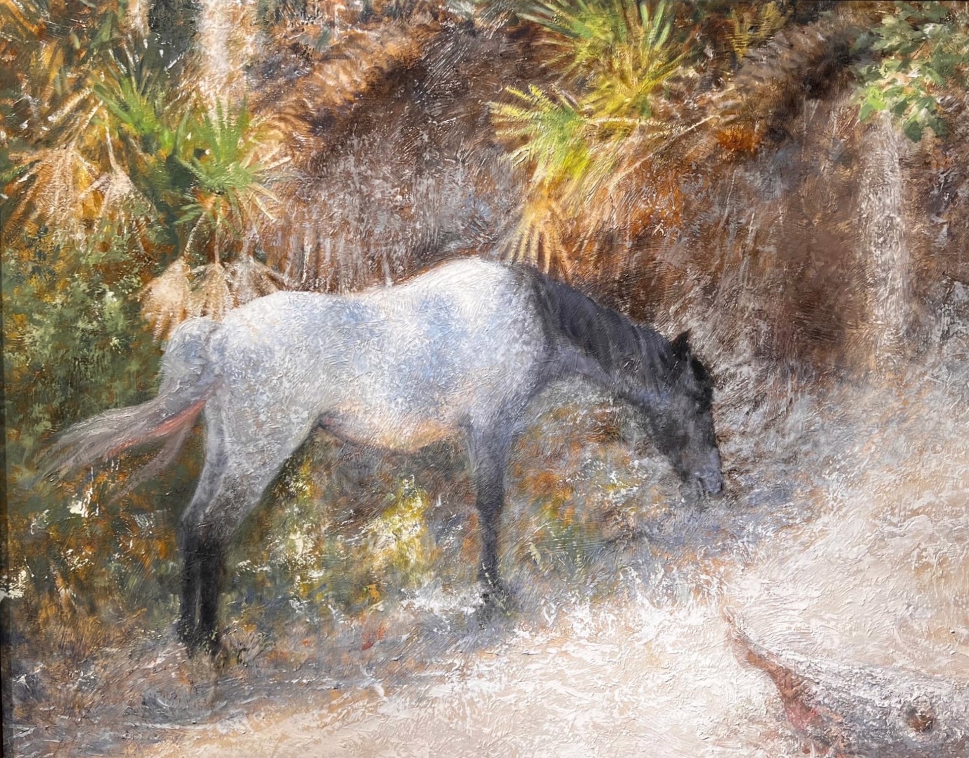 Blue Roan Grazing the Banks by Mitch Kolbe