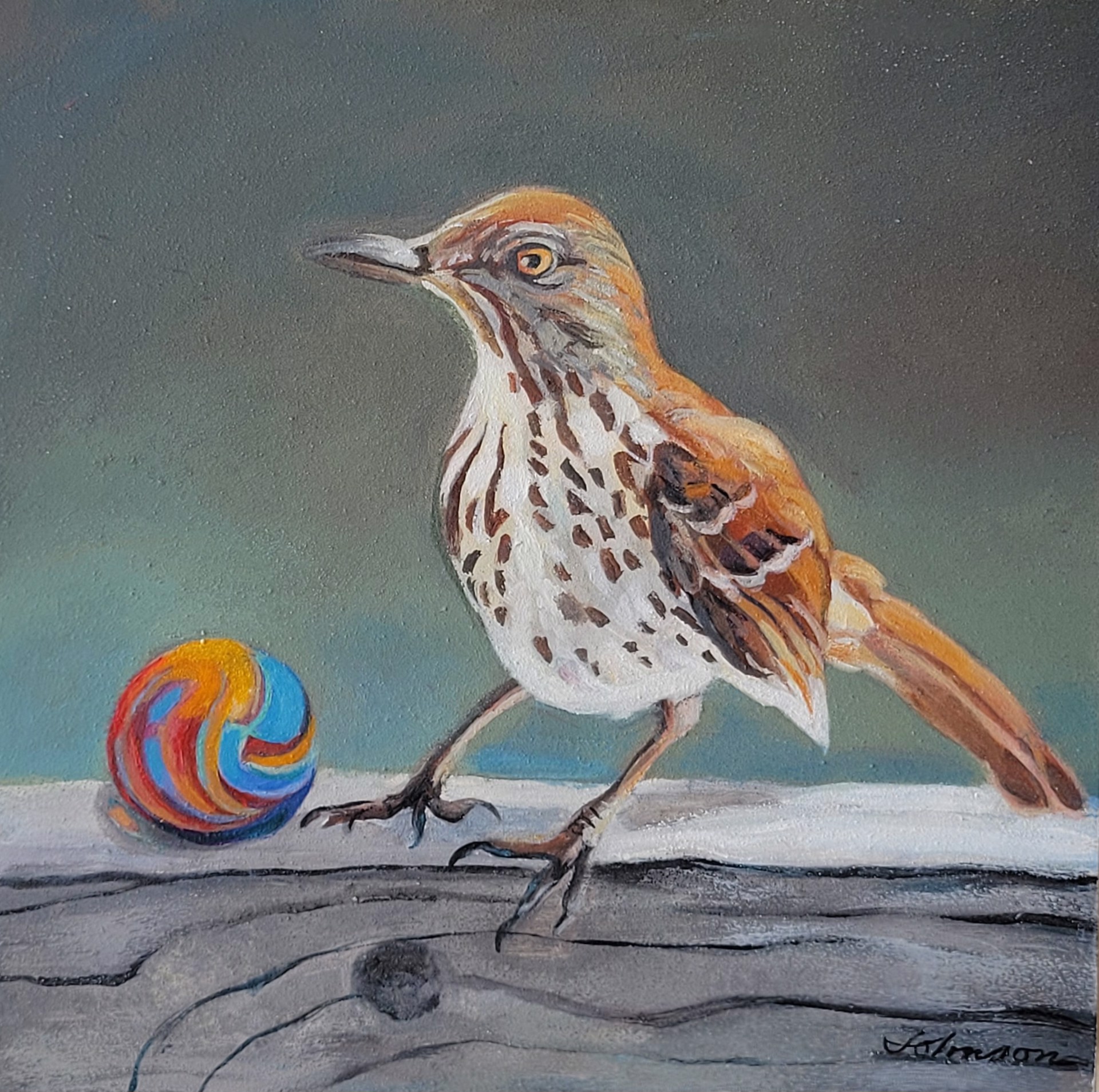 Thrasher with Marble (Brown and White Bird) by Nancy Johnson
