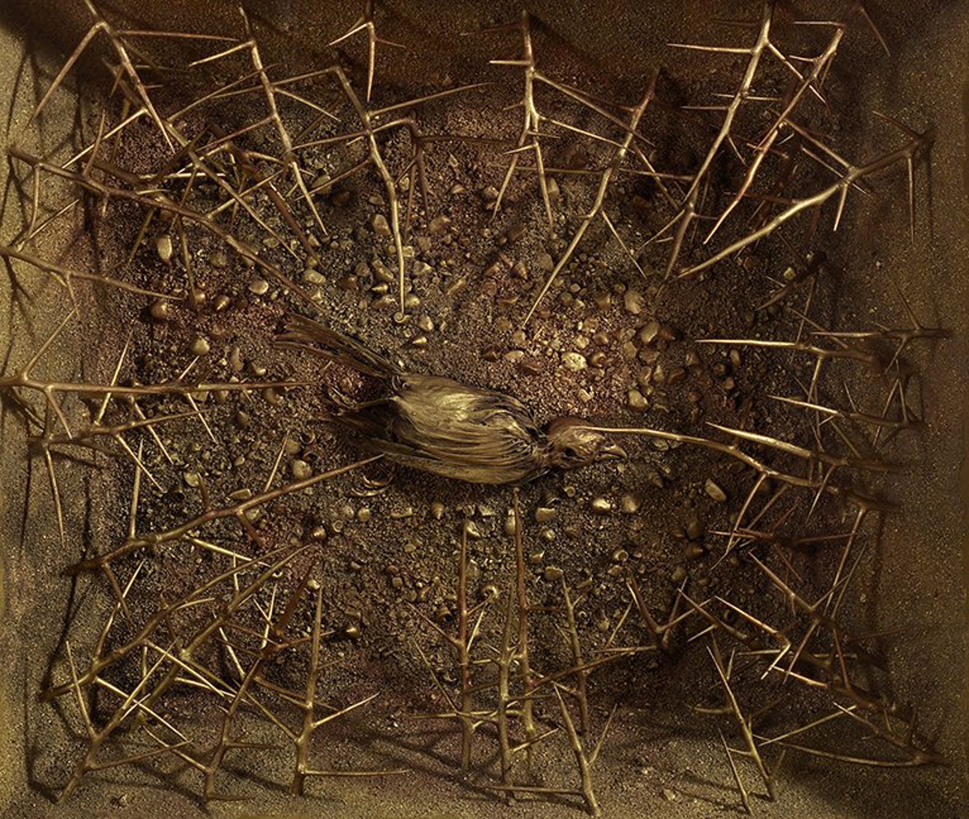 Nest by Martha Glowacki