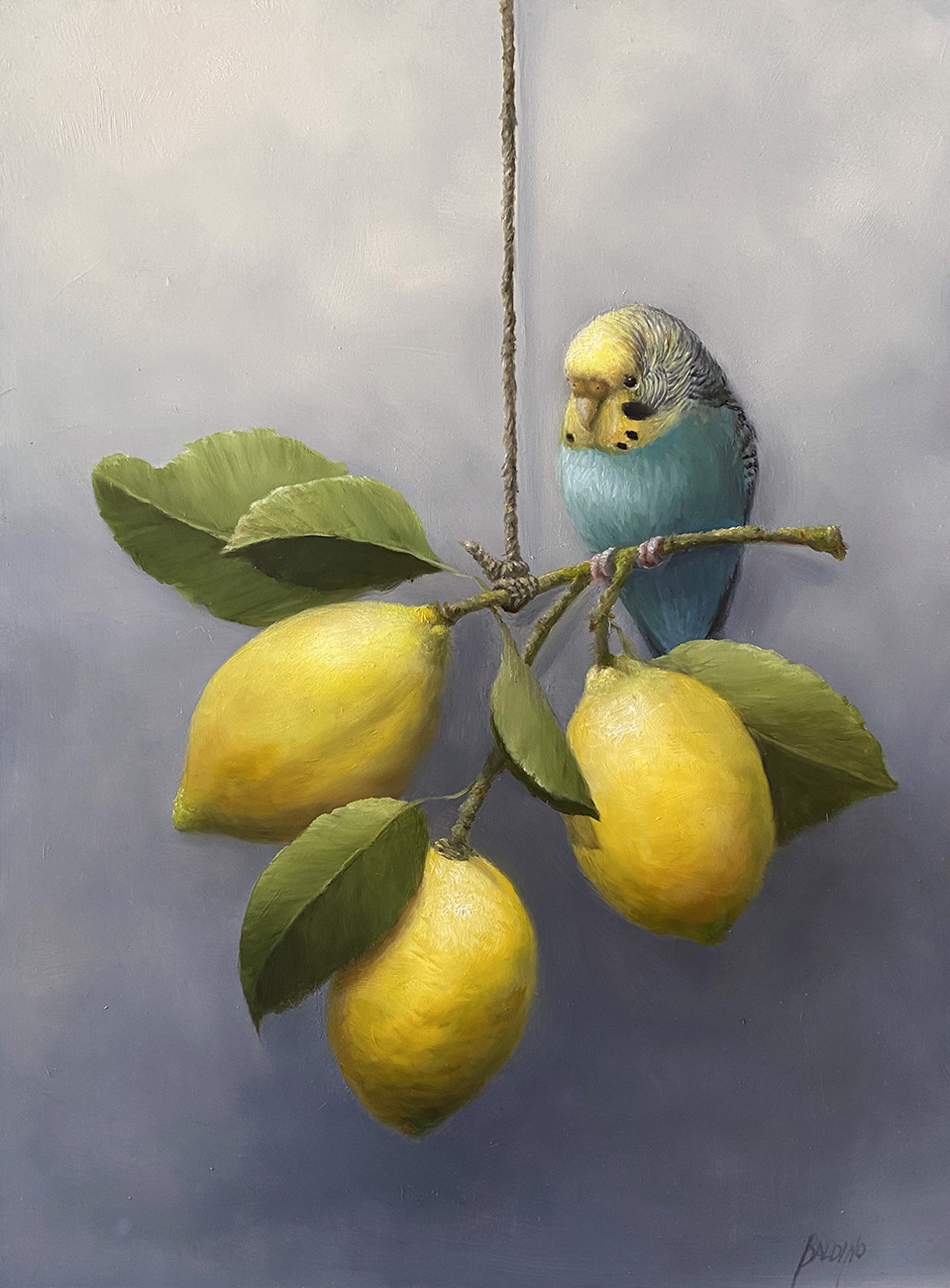 Budgie with Lemons by Patt Baldino