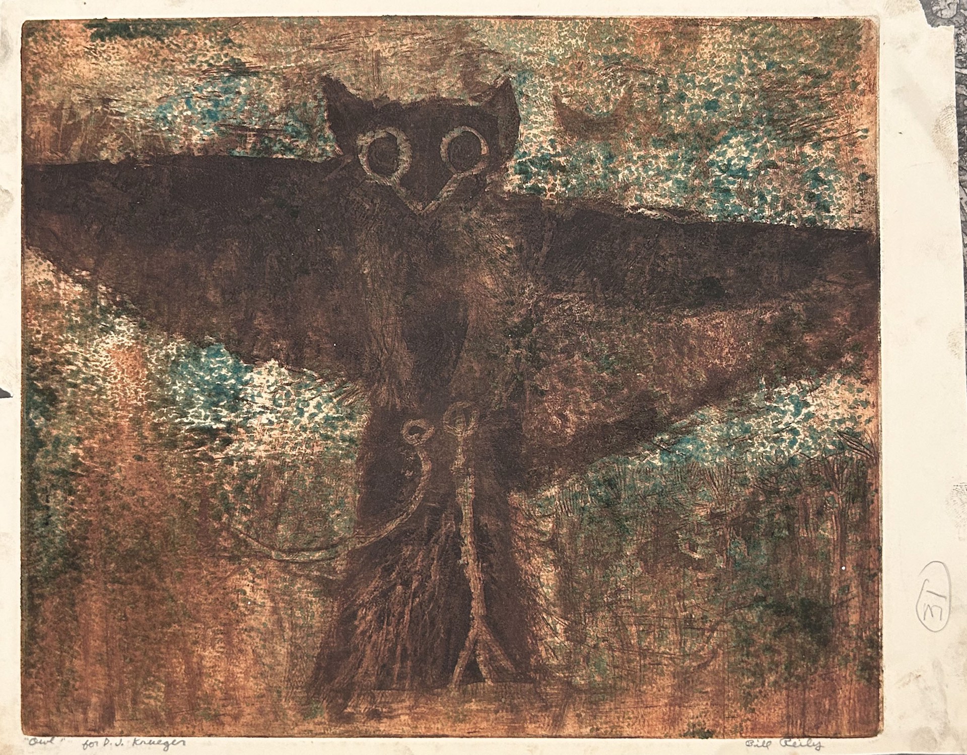 31c. Owl by Bill Reily Prints