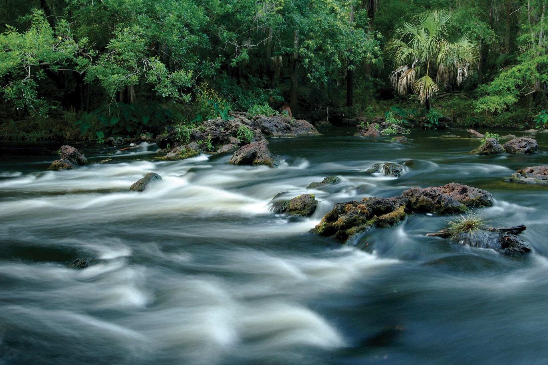 Hillsborough River Rapids by Carlton Ward Photography