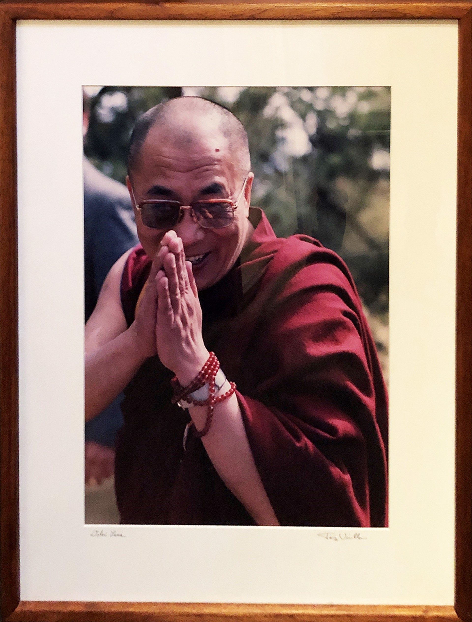 Dalai Lama by Tony Vinella