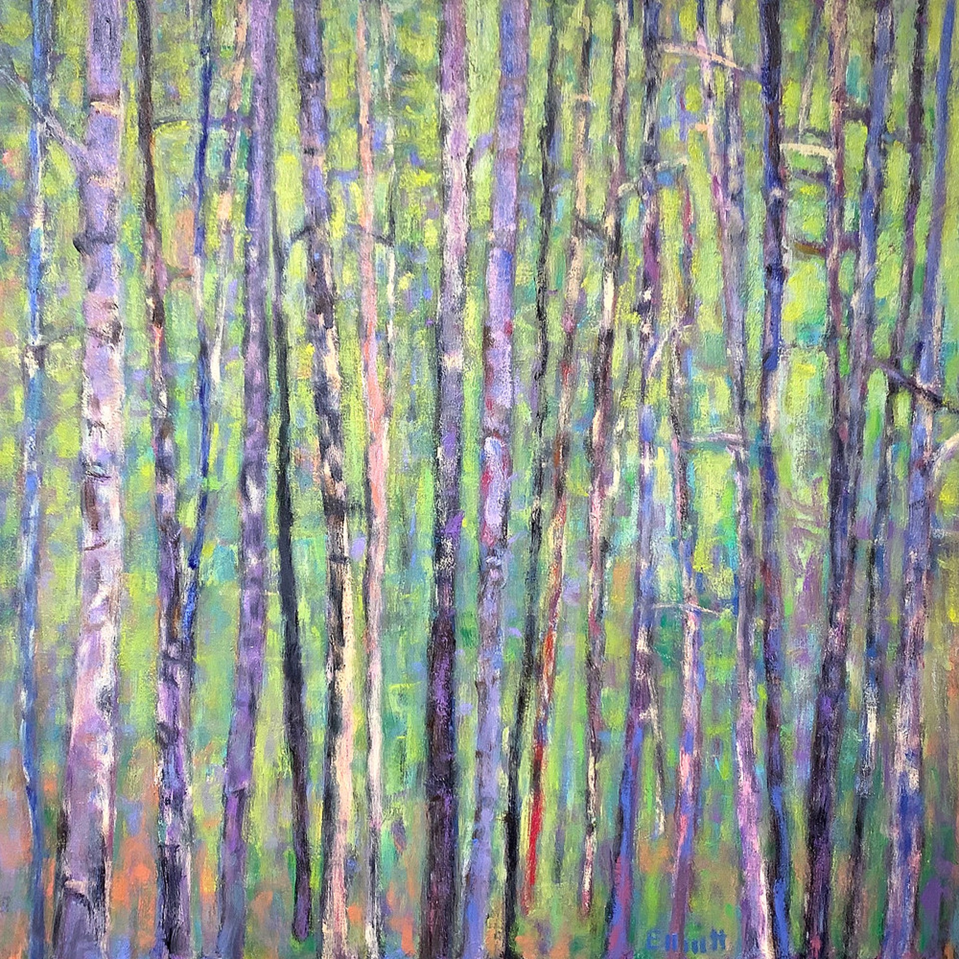 Forest Patterns by Ken Elliott