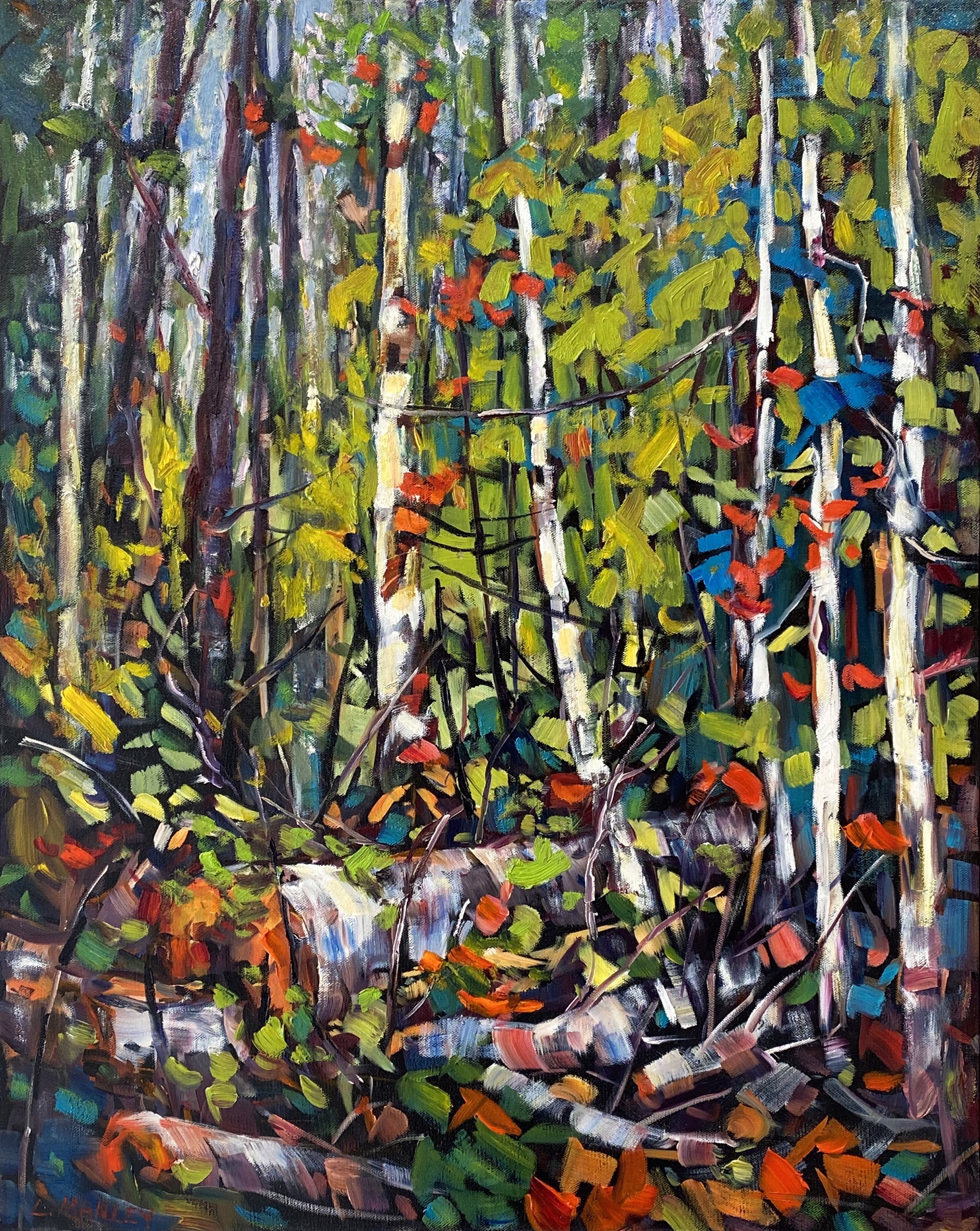 Fallen Birches by Lucy Manley