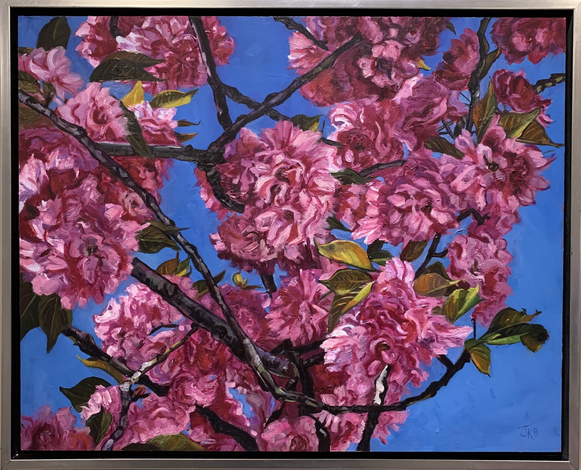 Cherry  Blossom Branches by Jennifer Barlow