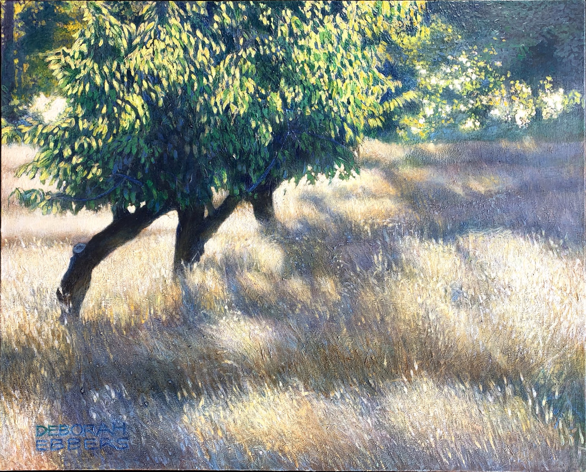 Orchard Path by Deborah Ebbers