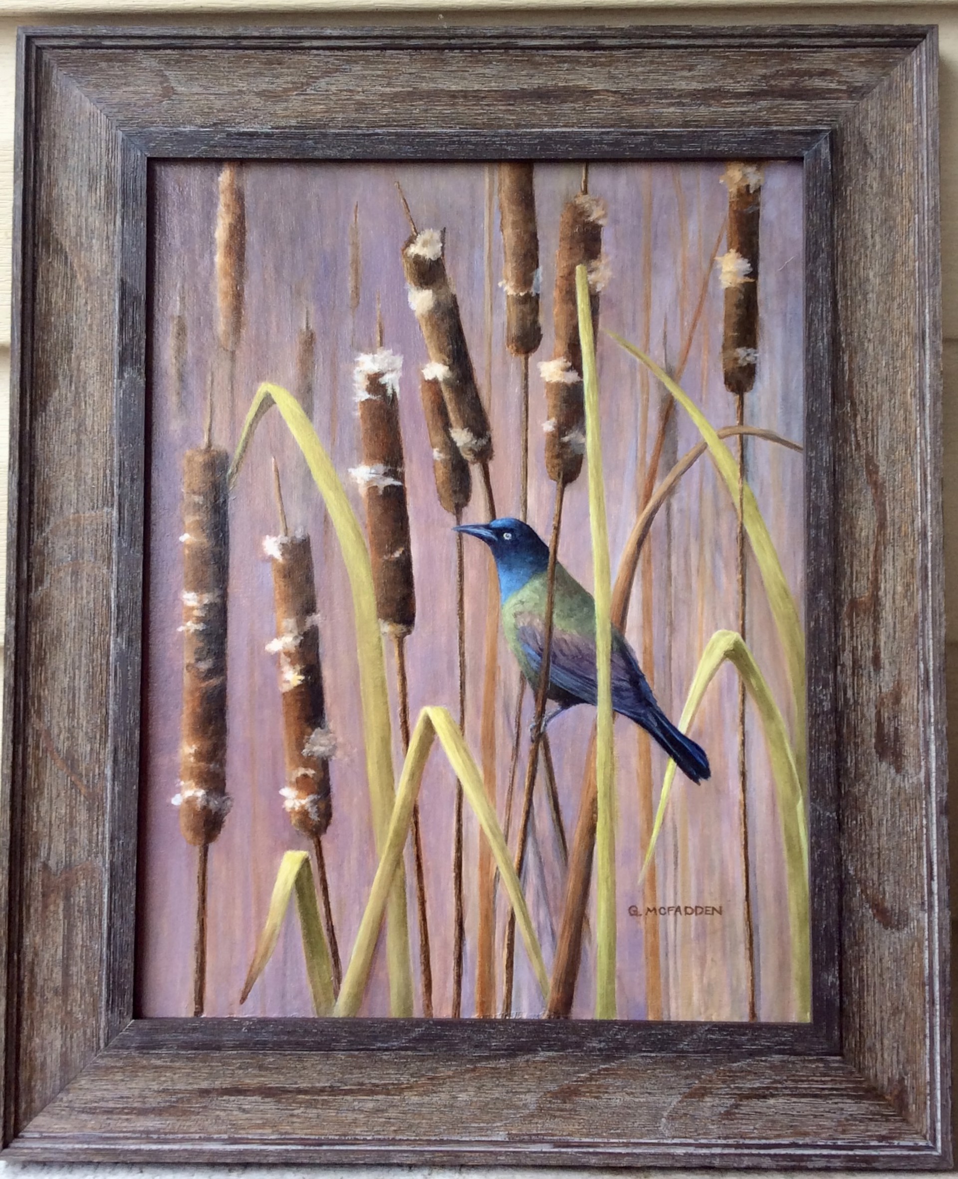 The Grackle by Gail McFadden