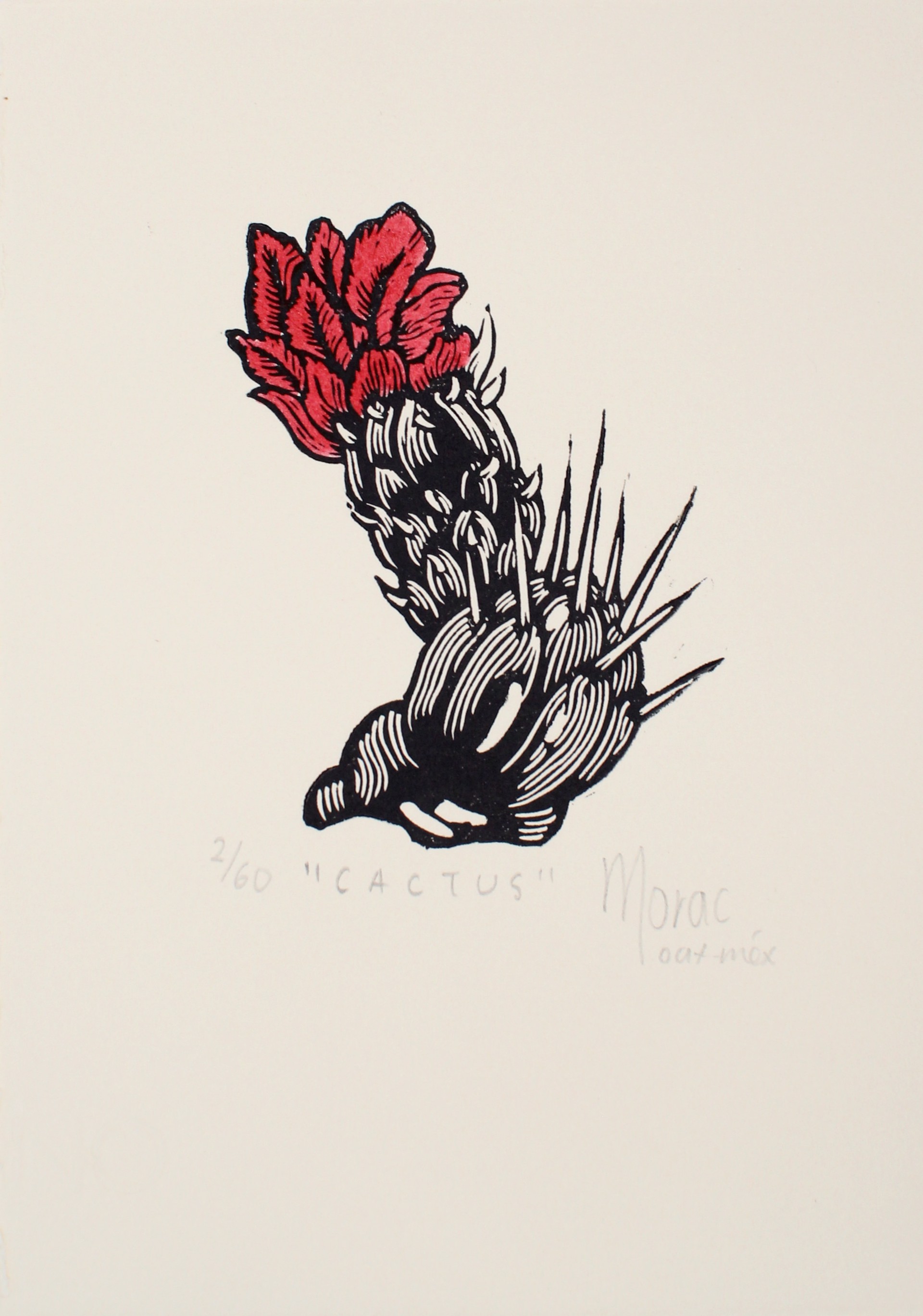 Cactus by Gabriela Morac