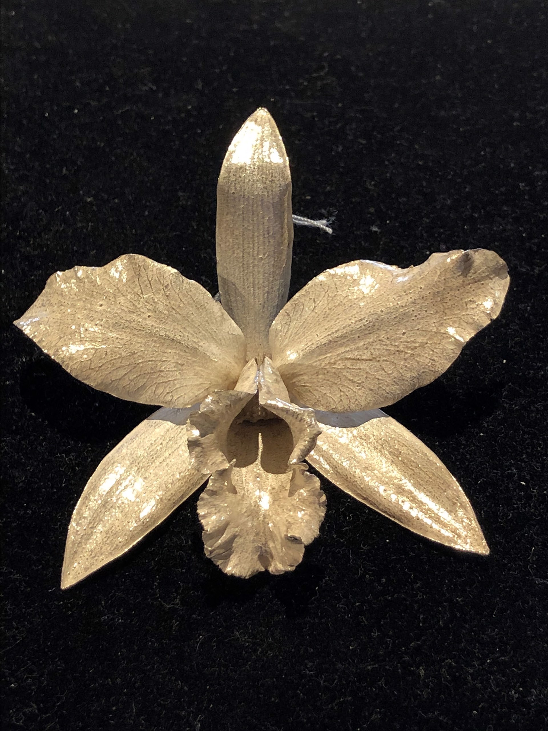 Extra Large Single Sterling Silver Cast Orchid by Wayne Keeth