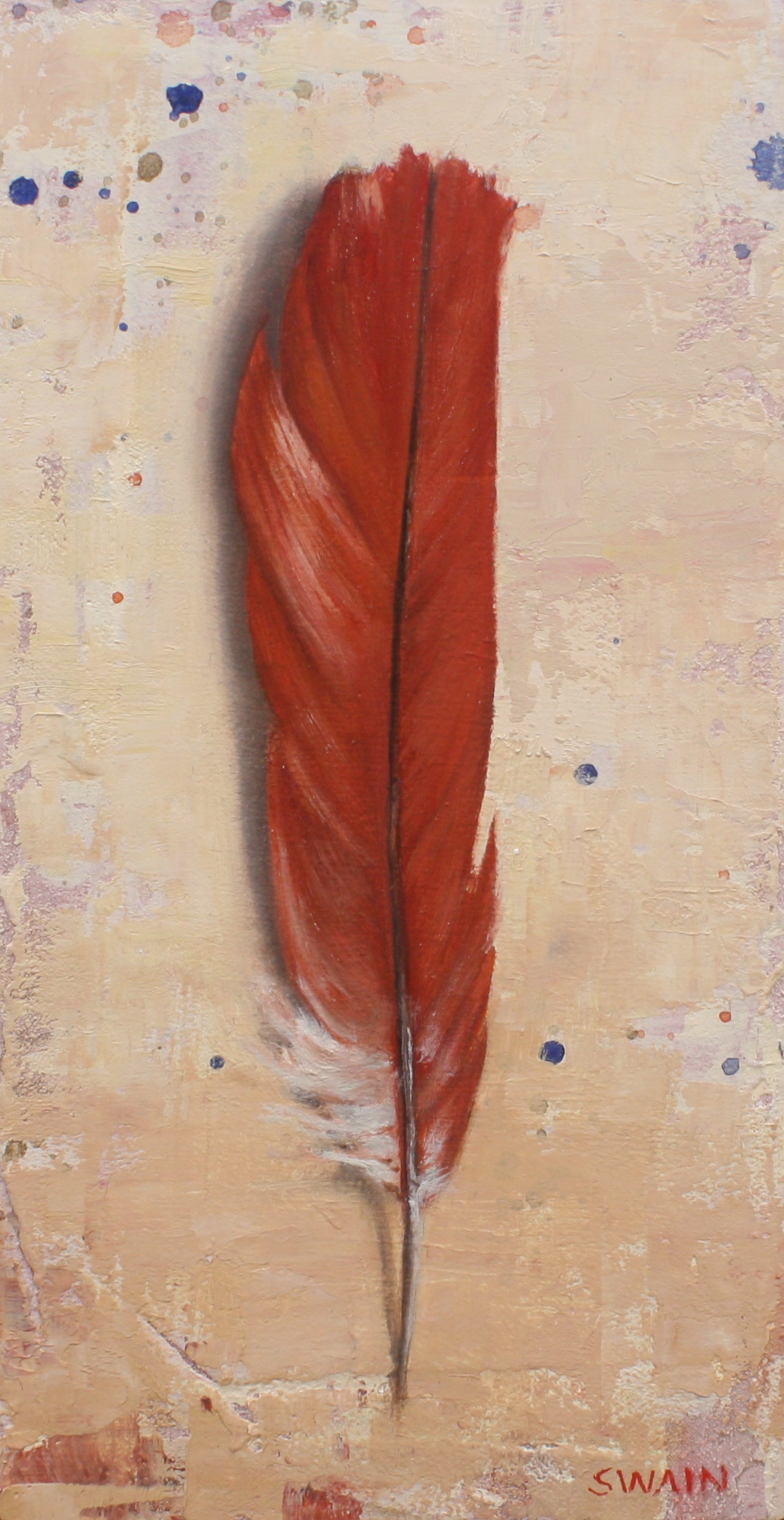 Cardinal Feather by Tyler Swain