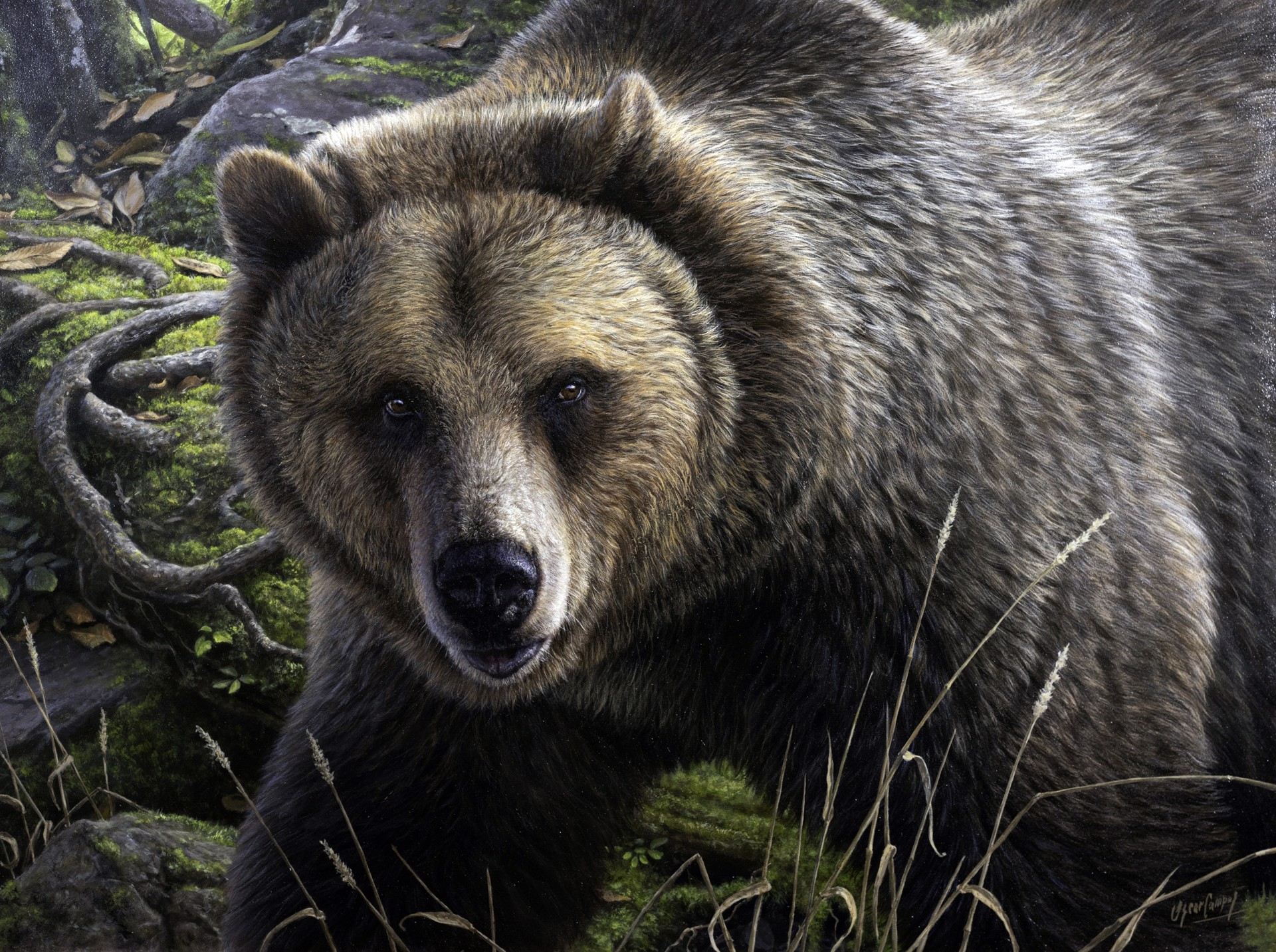 Grizzly's Domain - Unframed (Grizzly en su Dominio) by Oscar Campos
