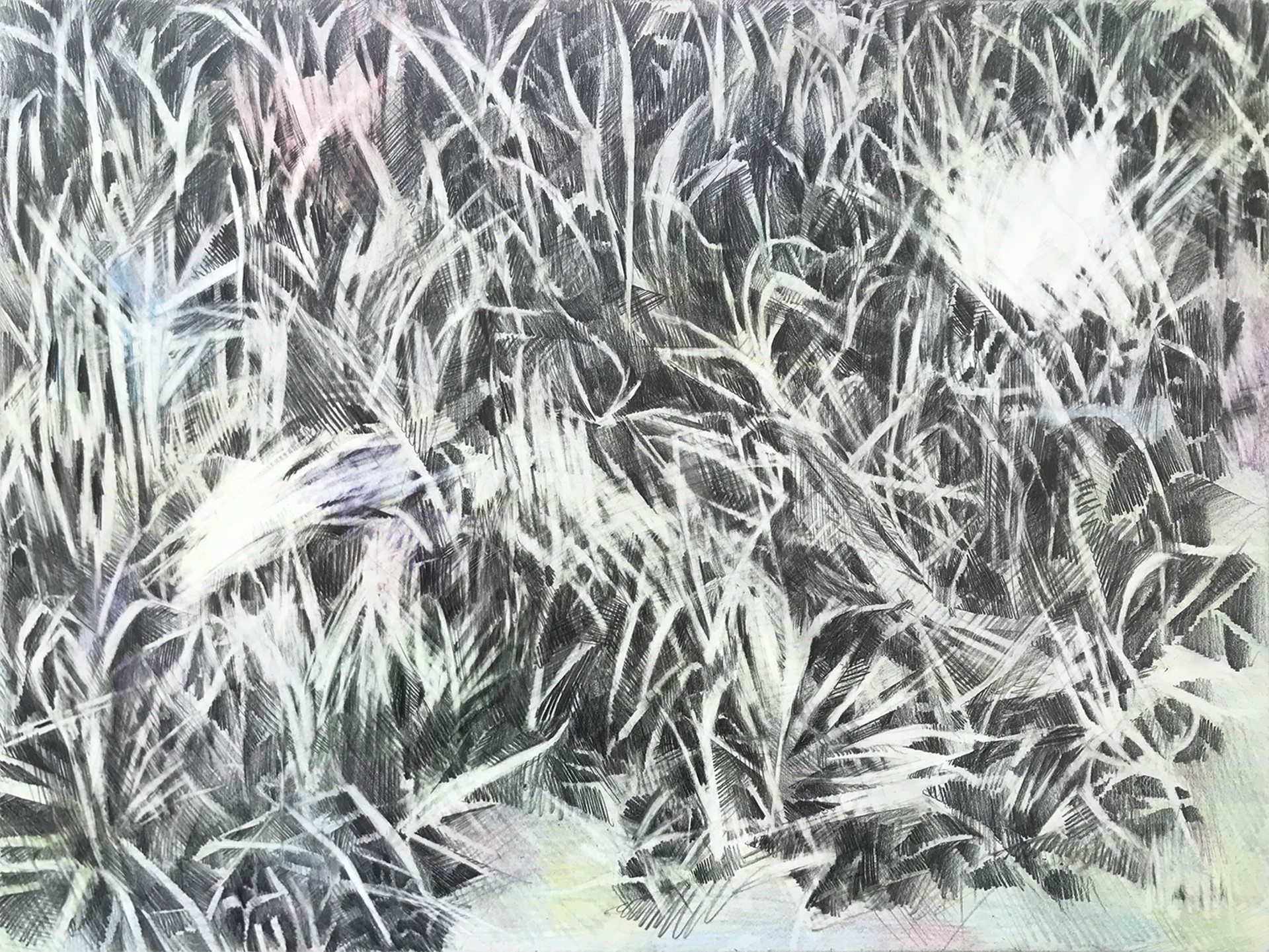 Grass Composition 2 (Alley Grass) by Rachel Wolfson Smith