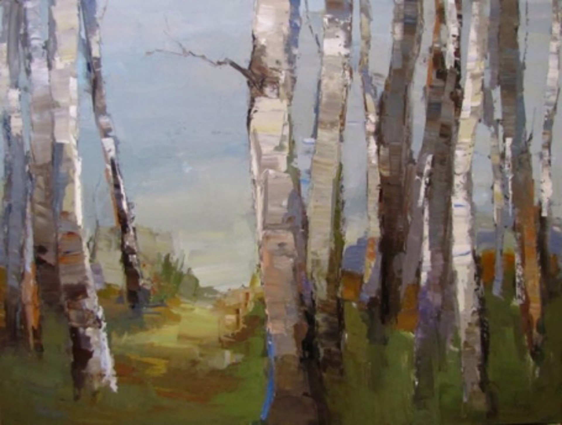 Birch and Path by Barbara Flowers