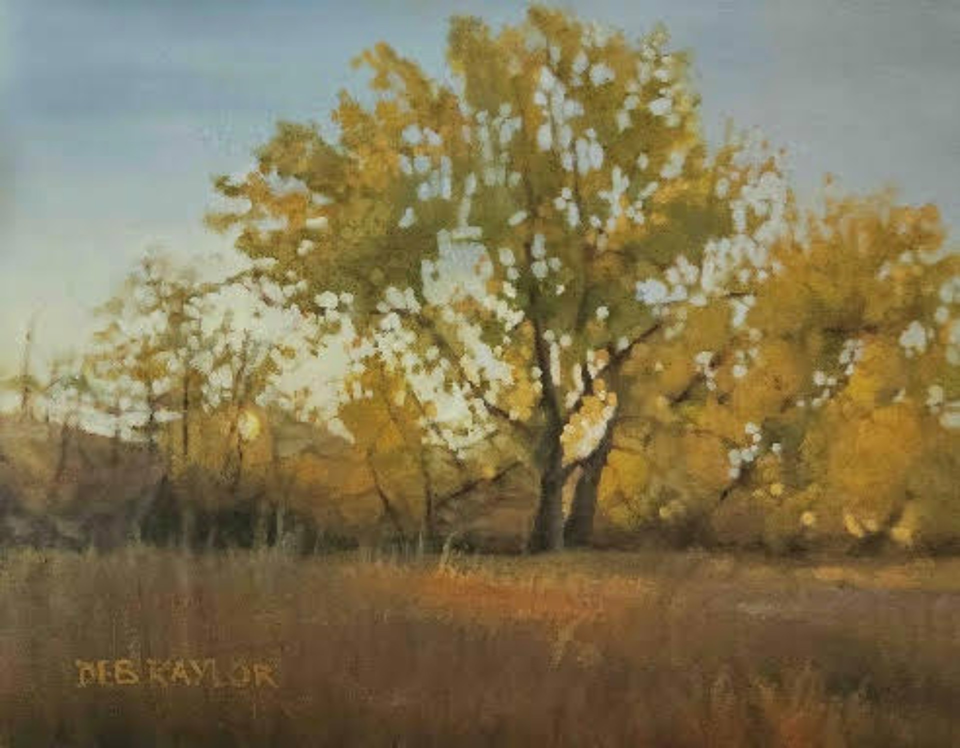 Fall Sunset by Deb Kaylor