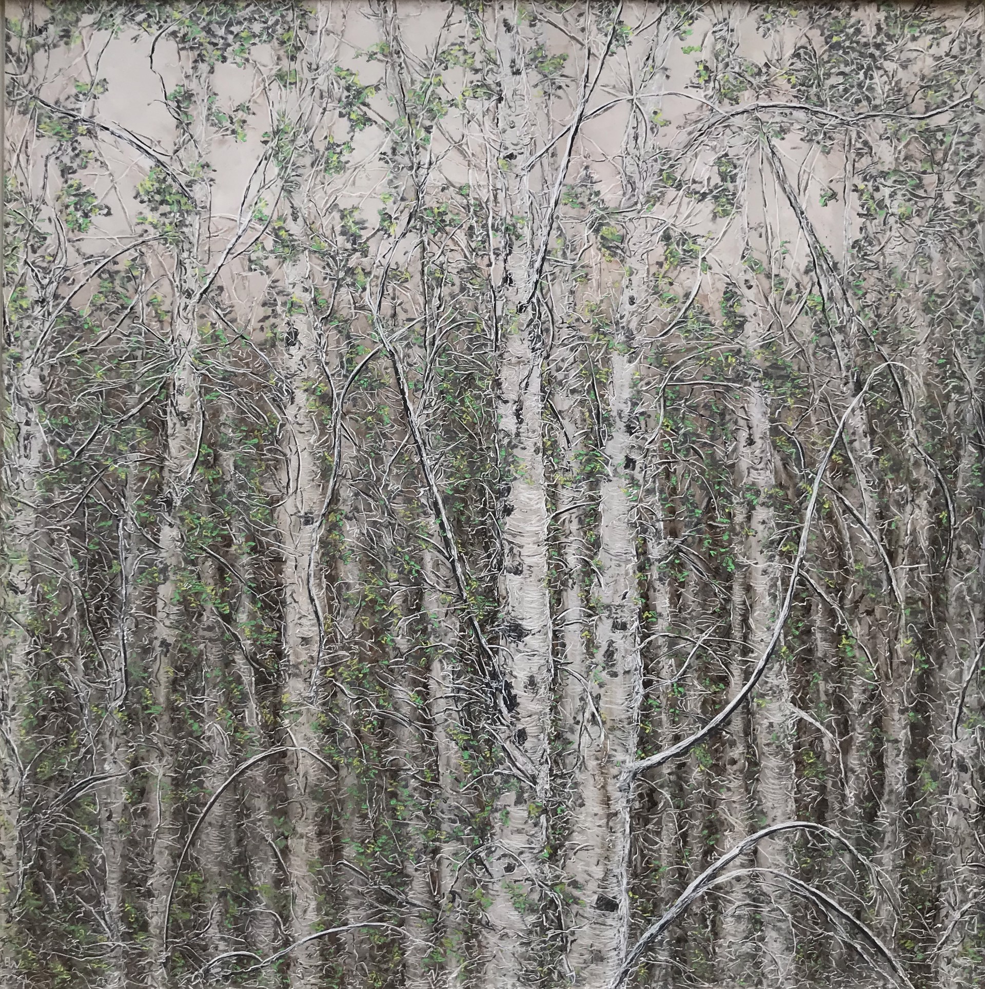 Birch with Sunlight by Ellen Wagener