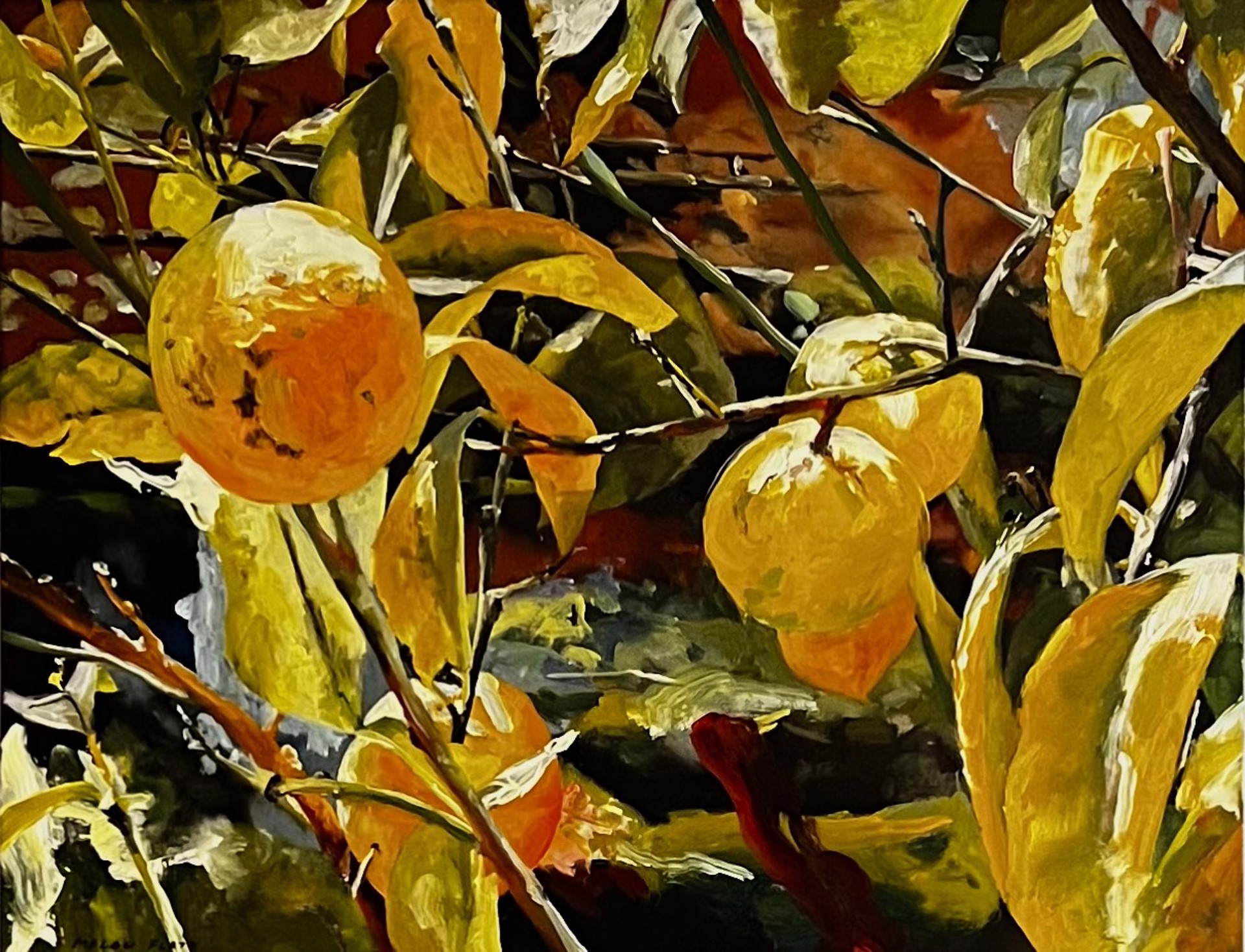 Oranges by Malou Flato