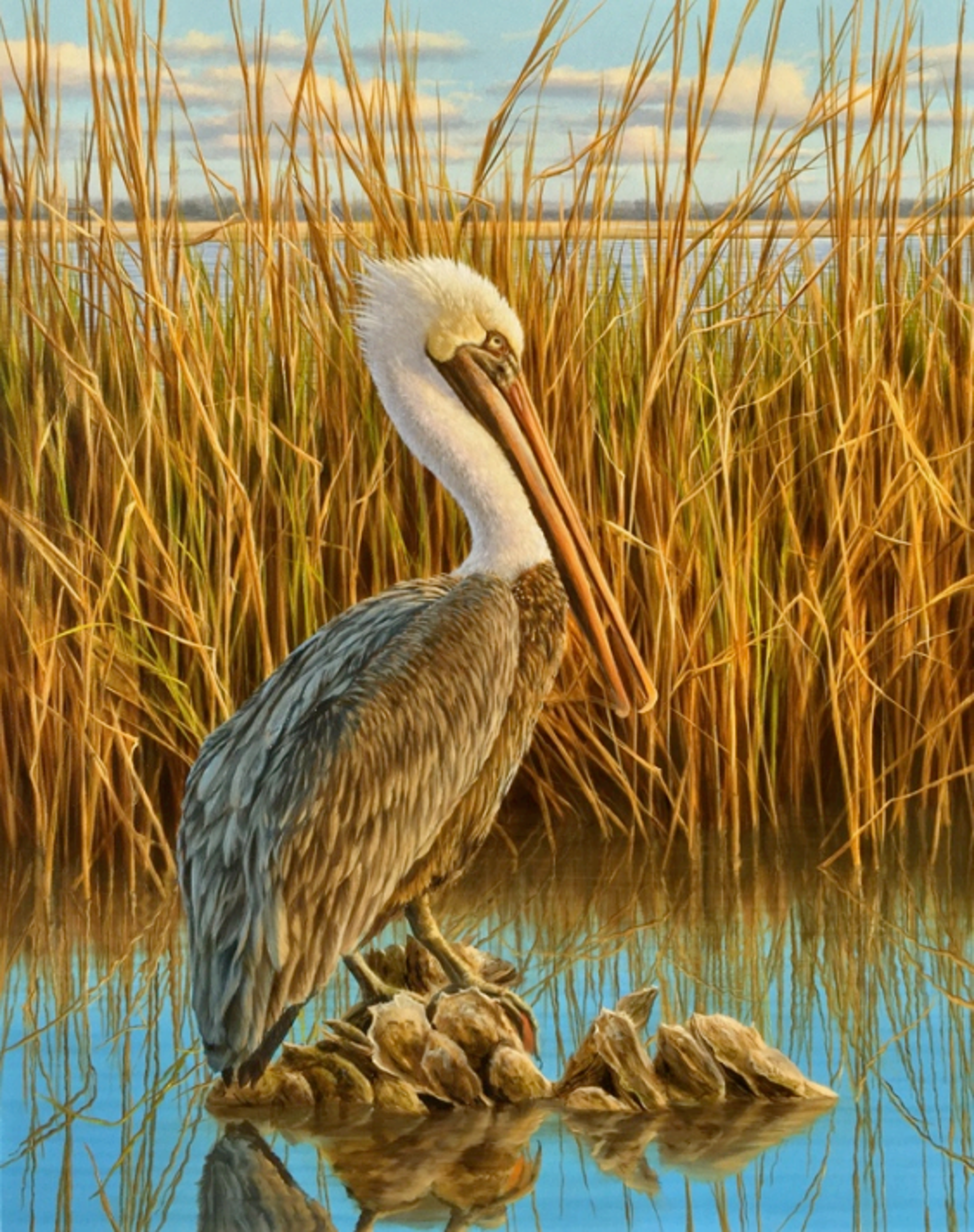 Pelican Perch by Henry Von Genk III