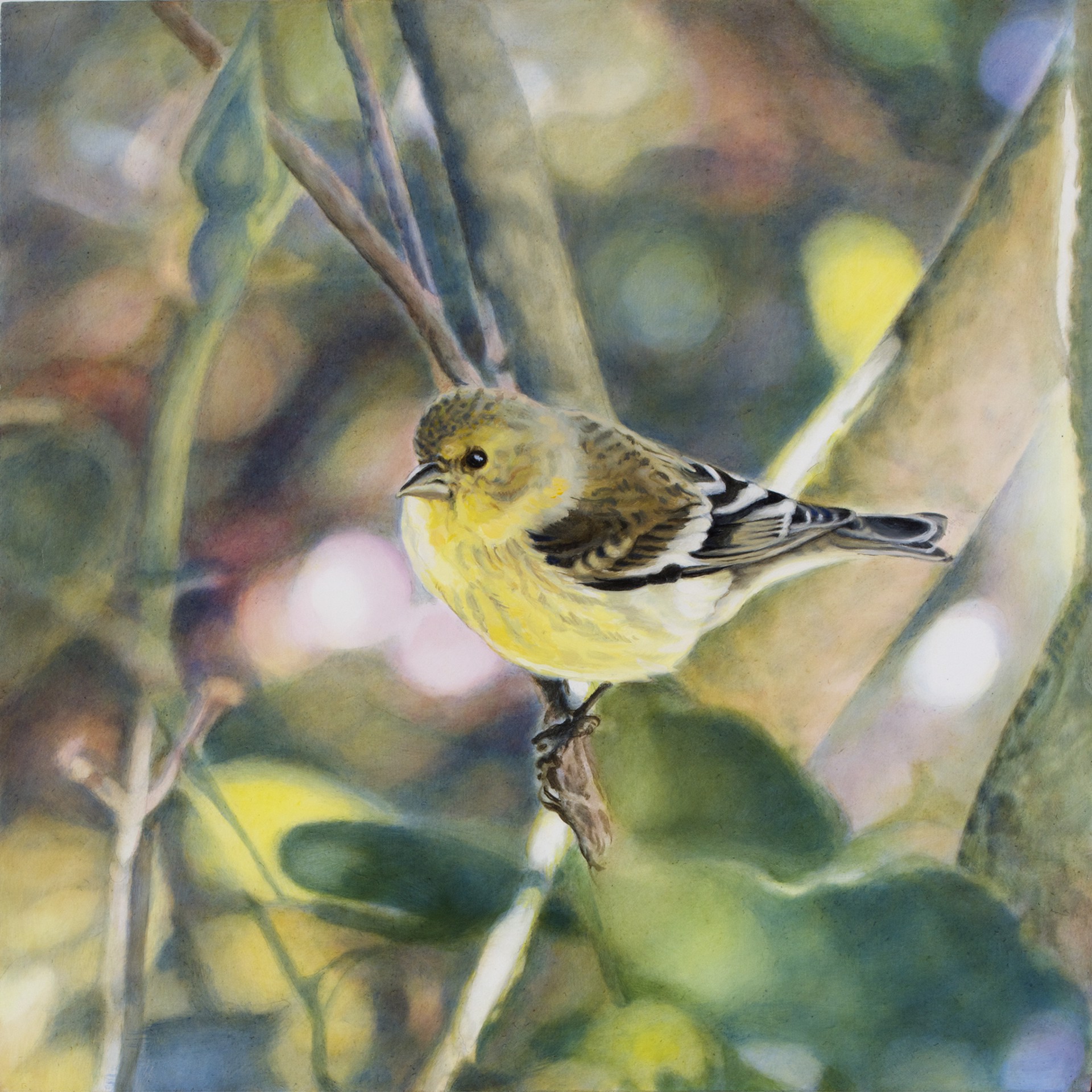 Goldfinch VI by Diane Andrews Hall