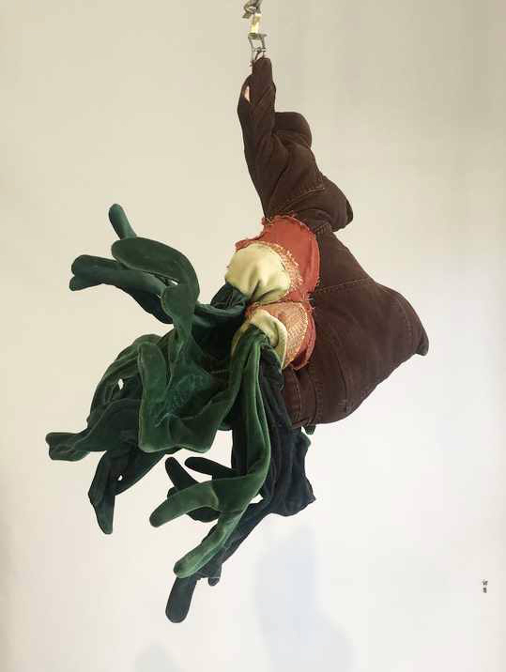 Staghorn Fern by Jacob Reptile
