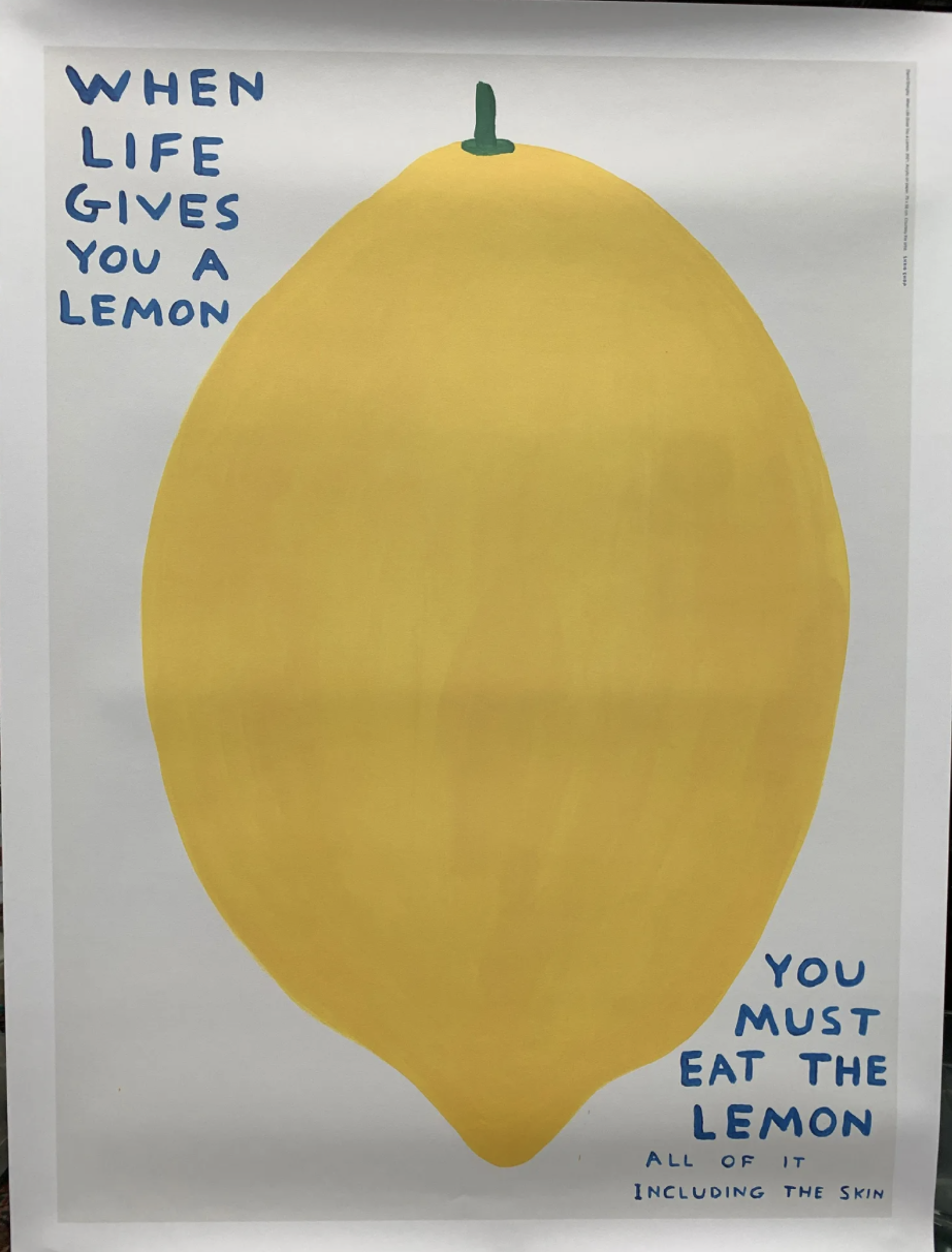 When Life Gives You a Lemon by David Shigley