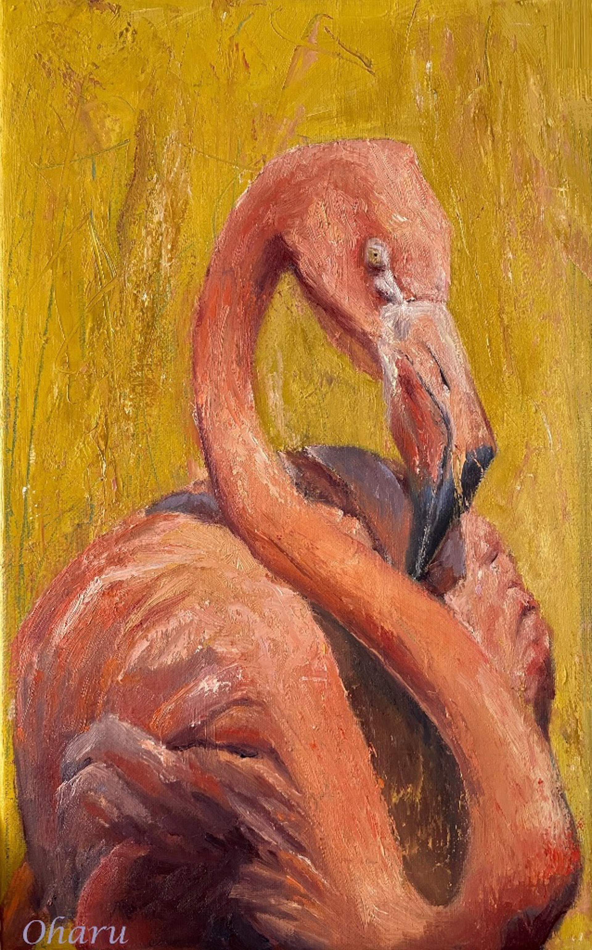 American Flamingo by Harumi Fujimoto -OharuArt