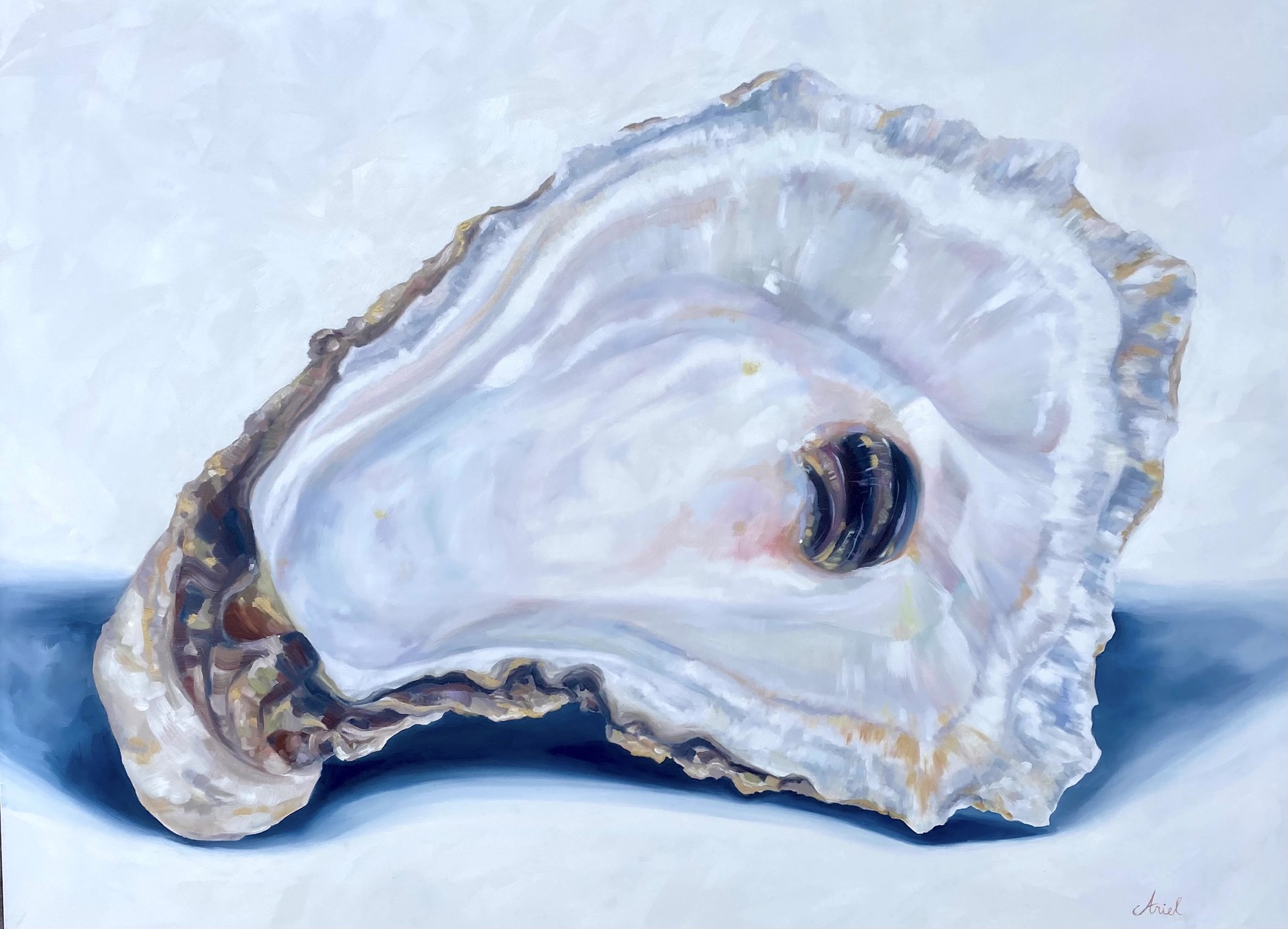 Solo Oyster II by Ariel Harder
