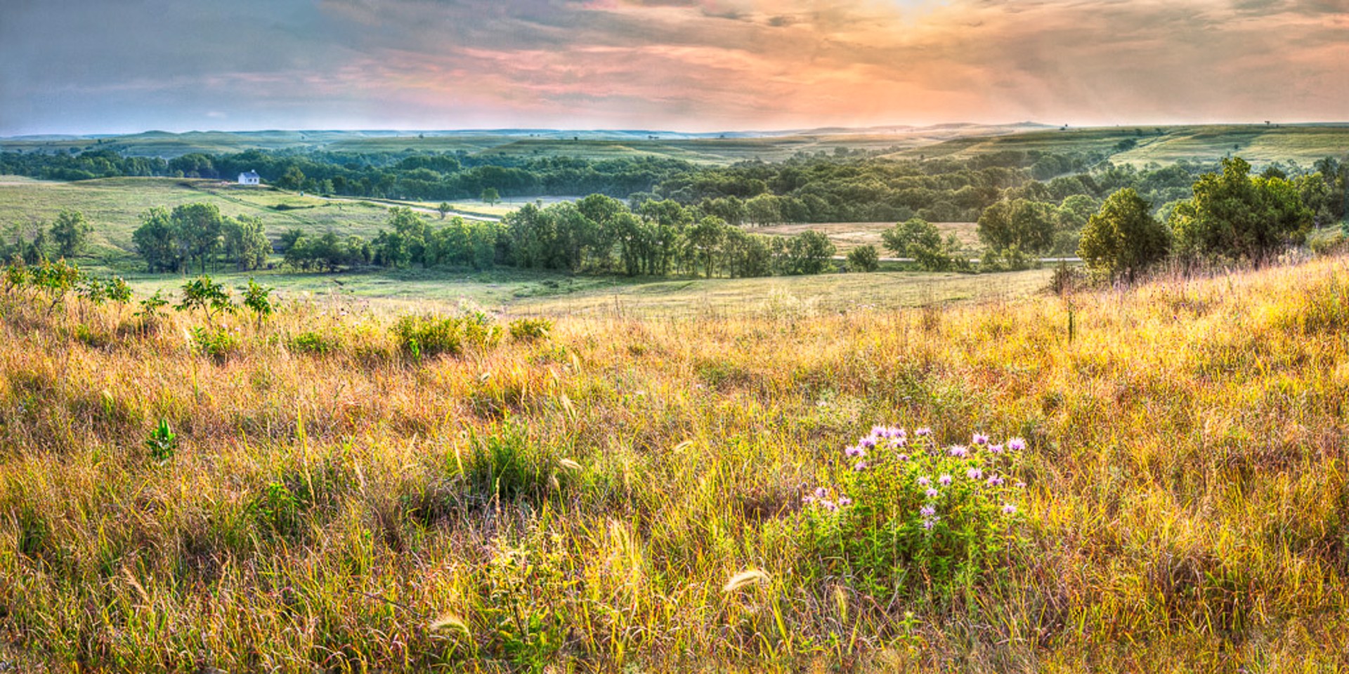 National Tallgrass Prairie Preserve by Ken West