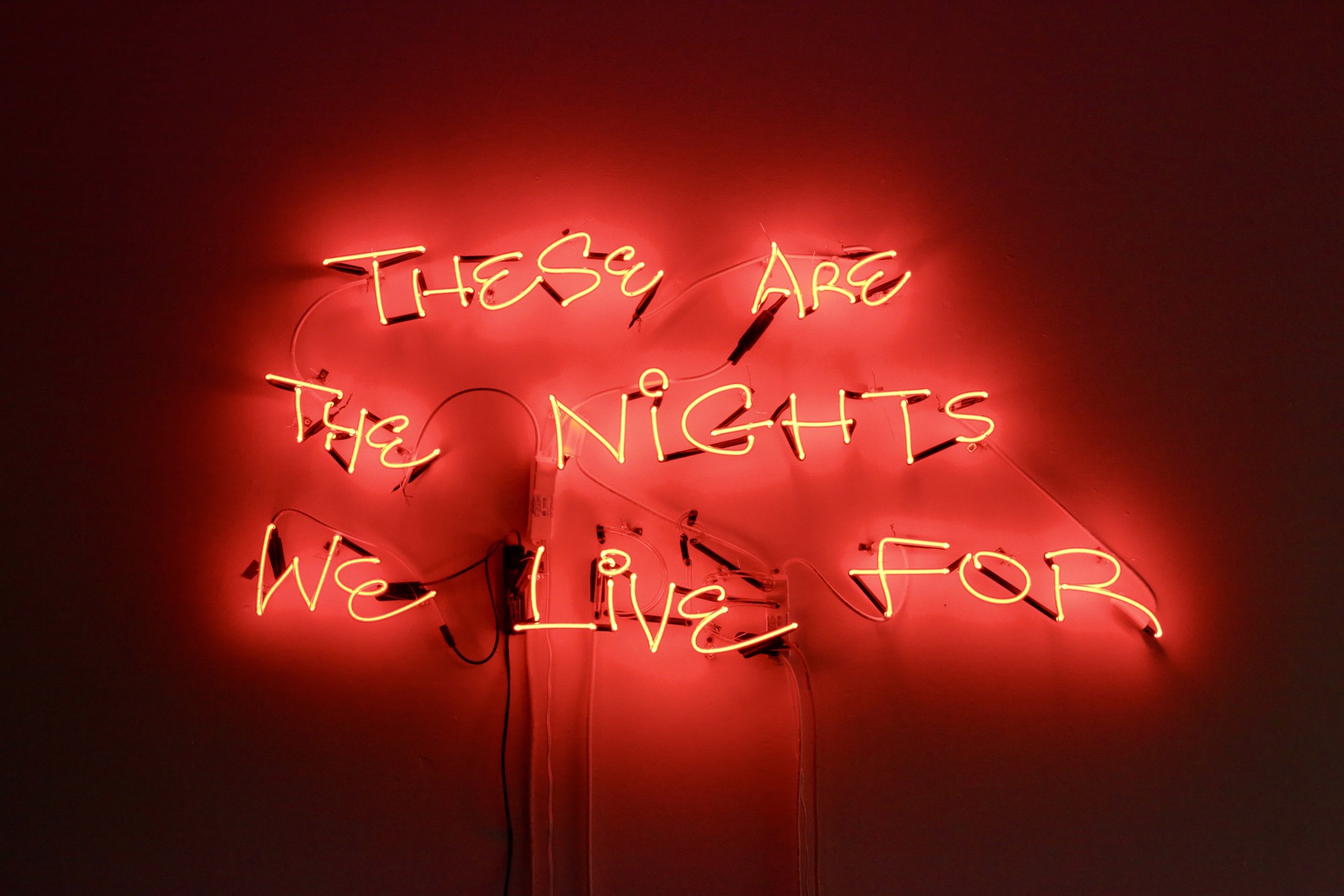 These are the nights we live(die) for by Yale Wolf